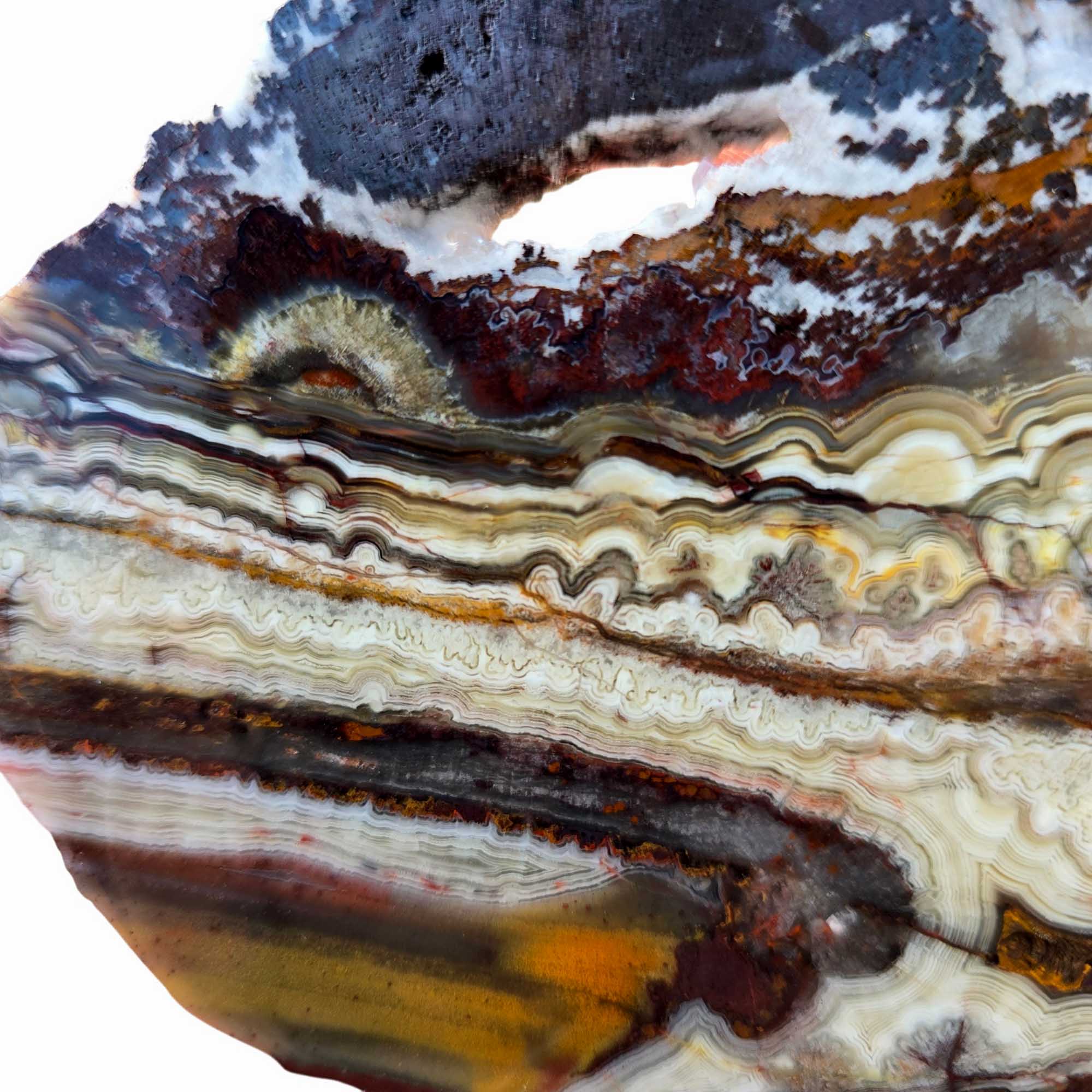 Crazy Lace Agate Slab Laguna Red Fireworks Mexican Vintage #3685-Photo3