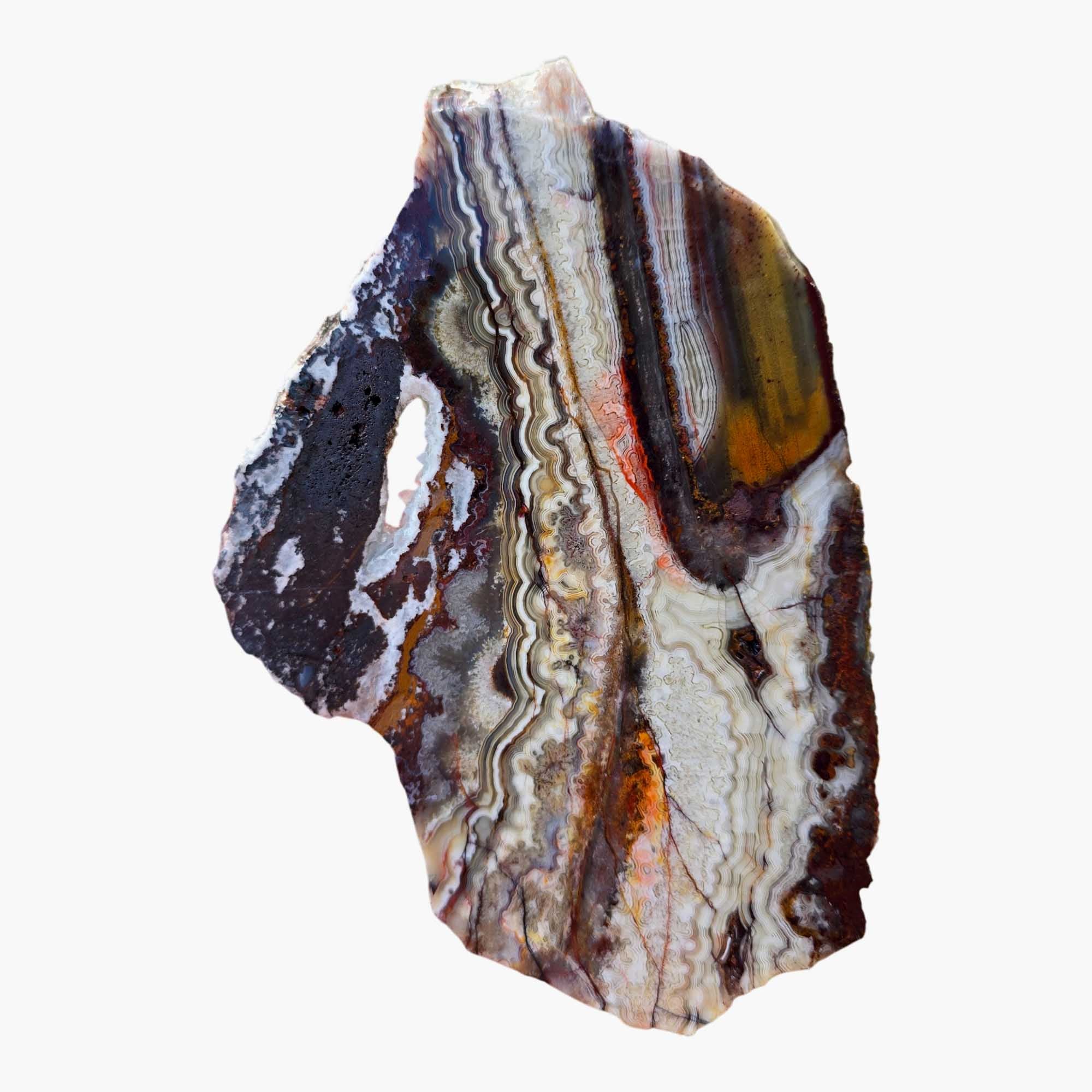 Crazy Lace Agate Slab Laguna Red Fireworks Mexican Vintage #3685-Photo4