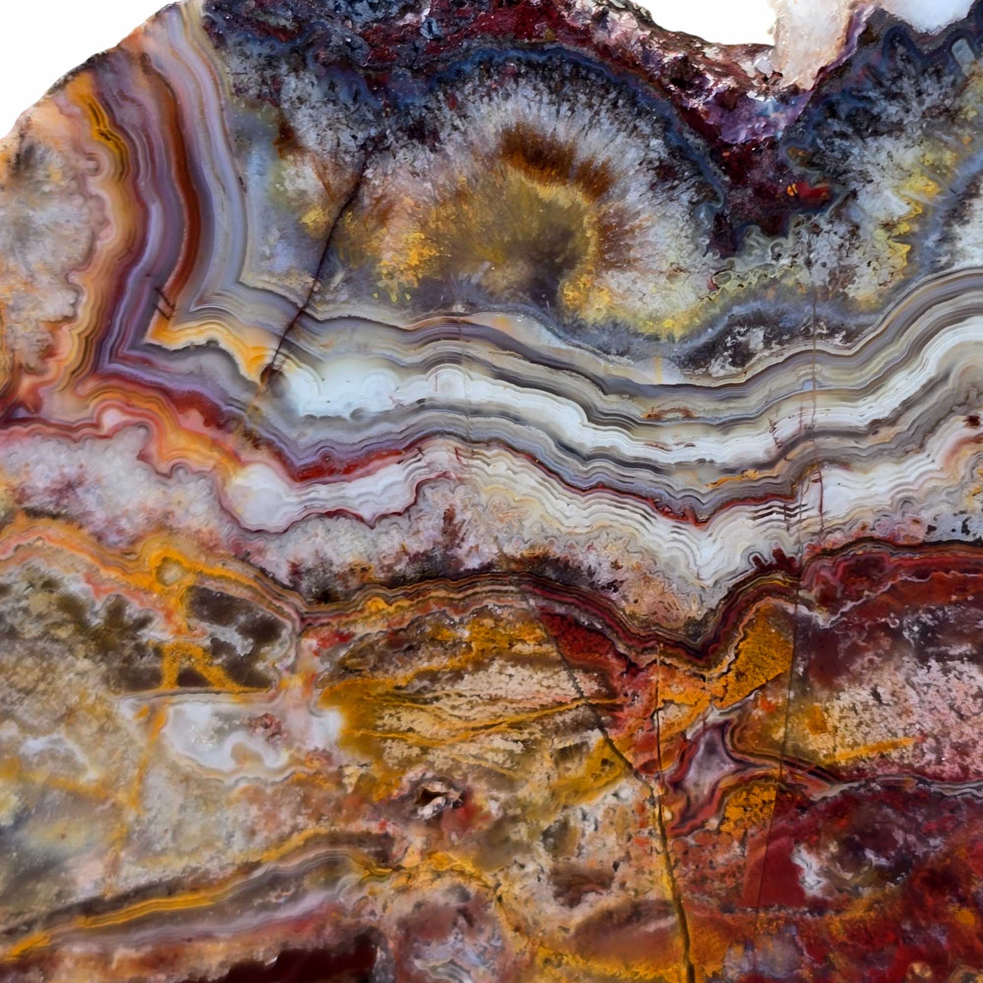 Crazy Lace Agate Slab - Red Orange Yin Yang Pattern Druzy #3687-Photo5