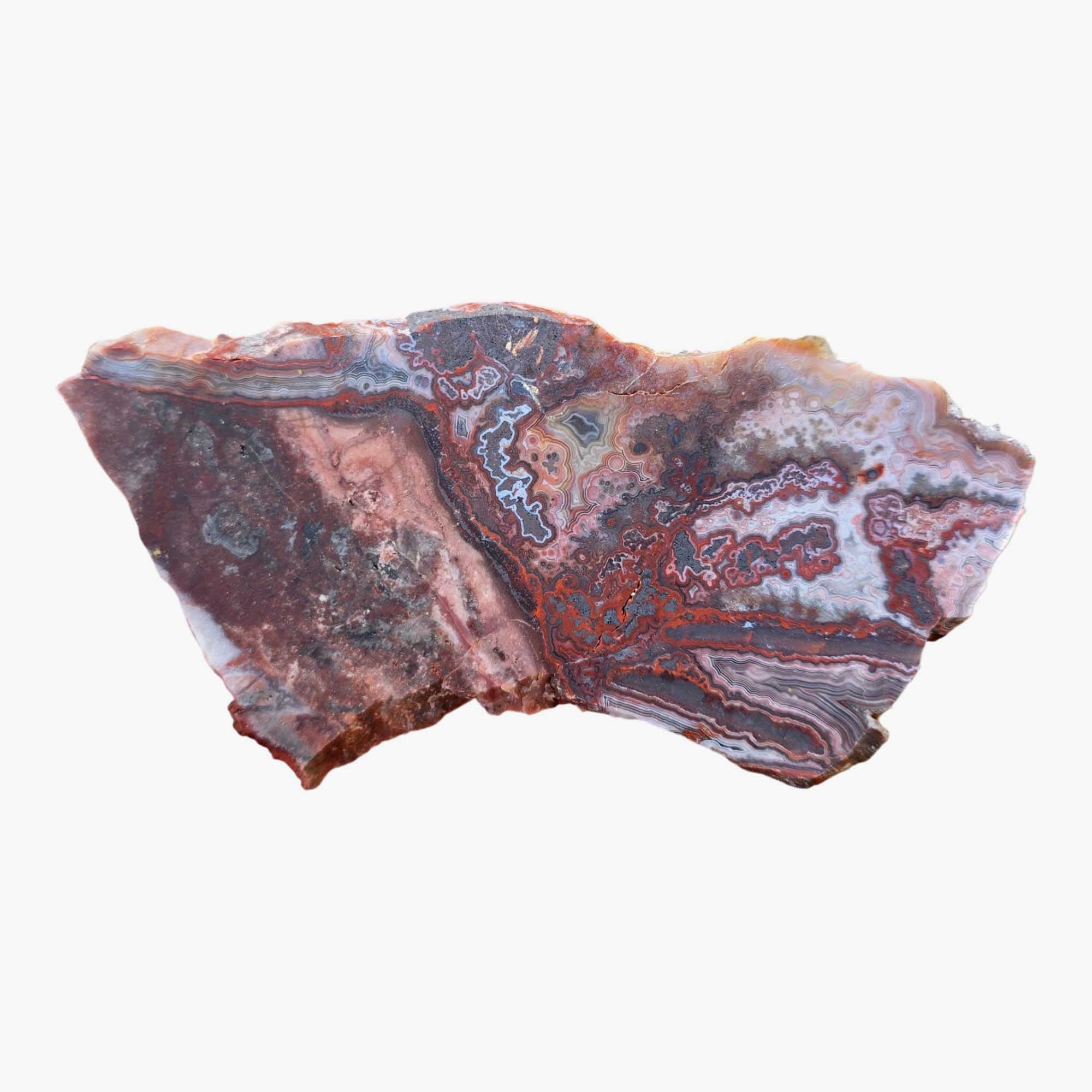 Laguna Lace Agate Slab Dry - Bright Red Salmon Pink Hematite! #3689-Photo5