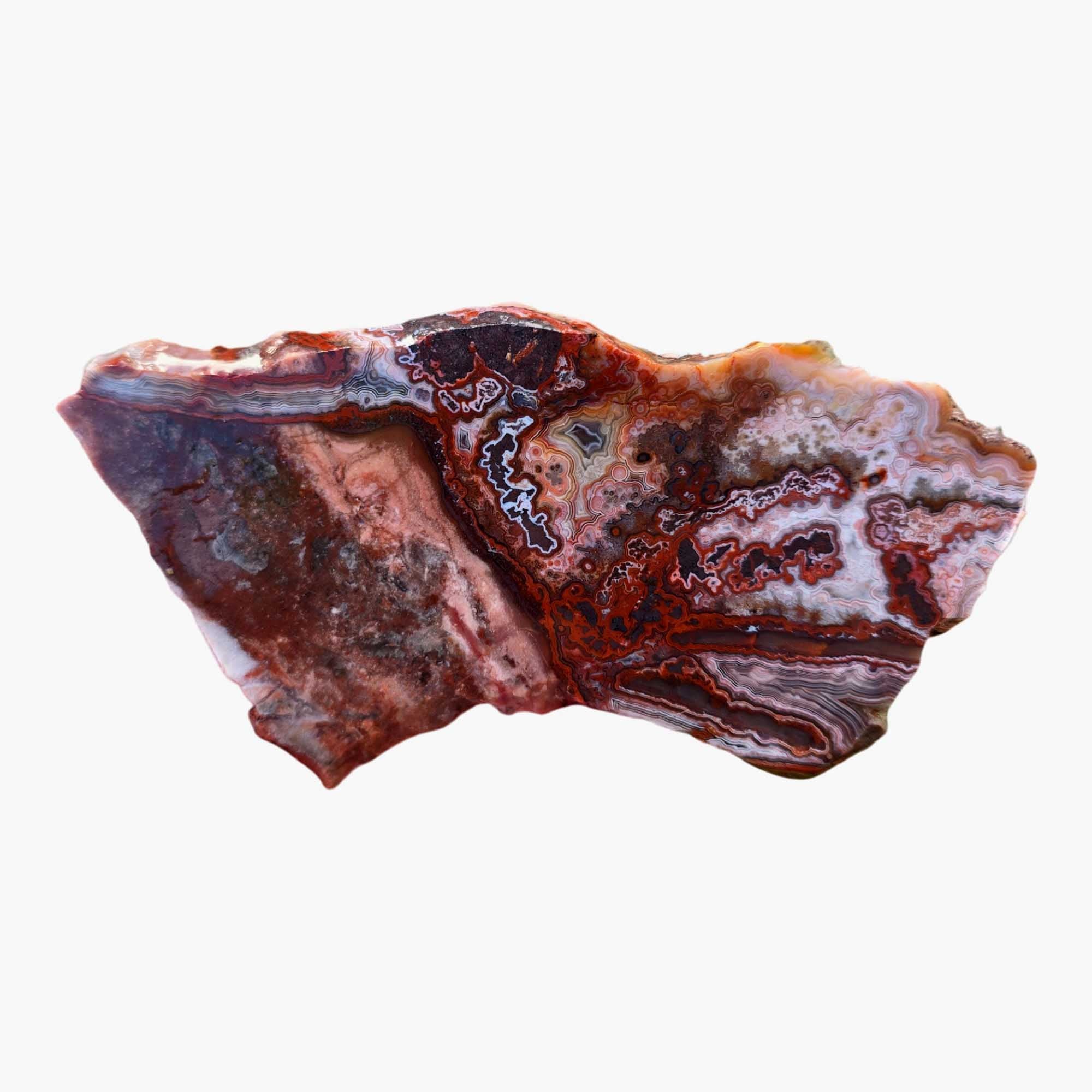 Laguna Lace Agate Slab - Bright Red Salmon Pink Hematite! #3689-Photo4