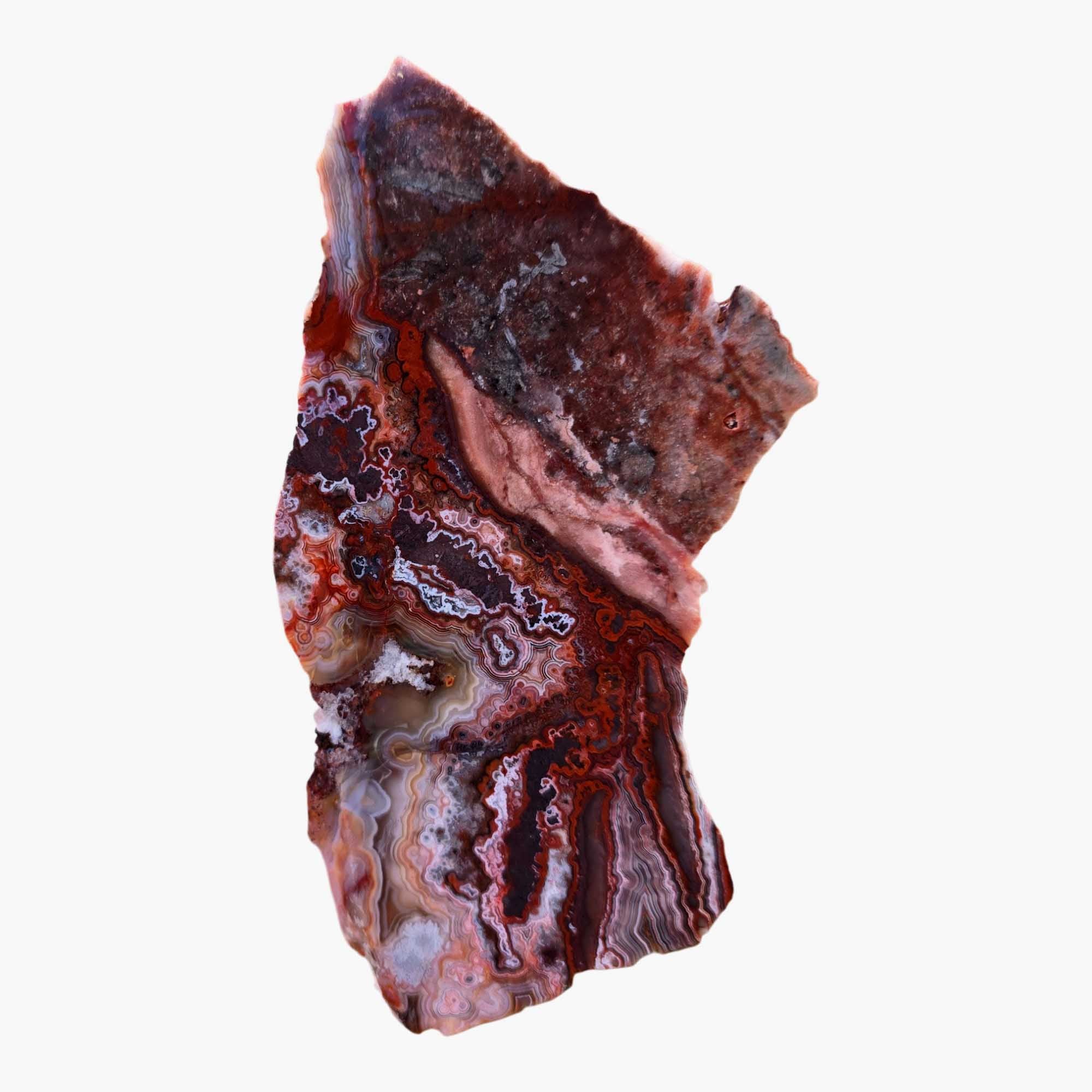 Laguna Lace Agate Slab - Bright Red Salmon Pink Hematite! #3689-Photo2