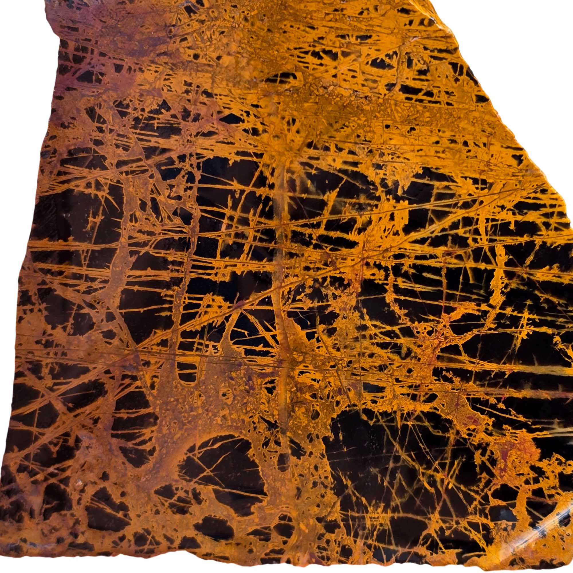 Pilbara Jasper Slab - Coffee Spiderweb Pattern Western Australia! #3694-Photo2