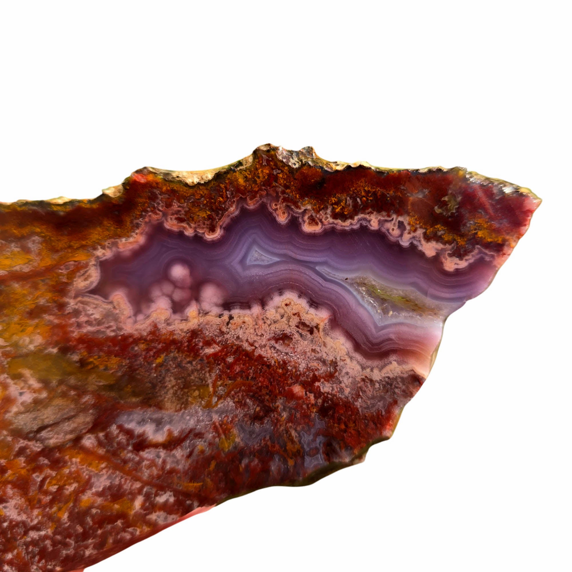 Agua Nueva Agate Slab Purple Passion Golden Yellow Fortification #3721-Photo4