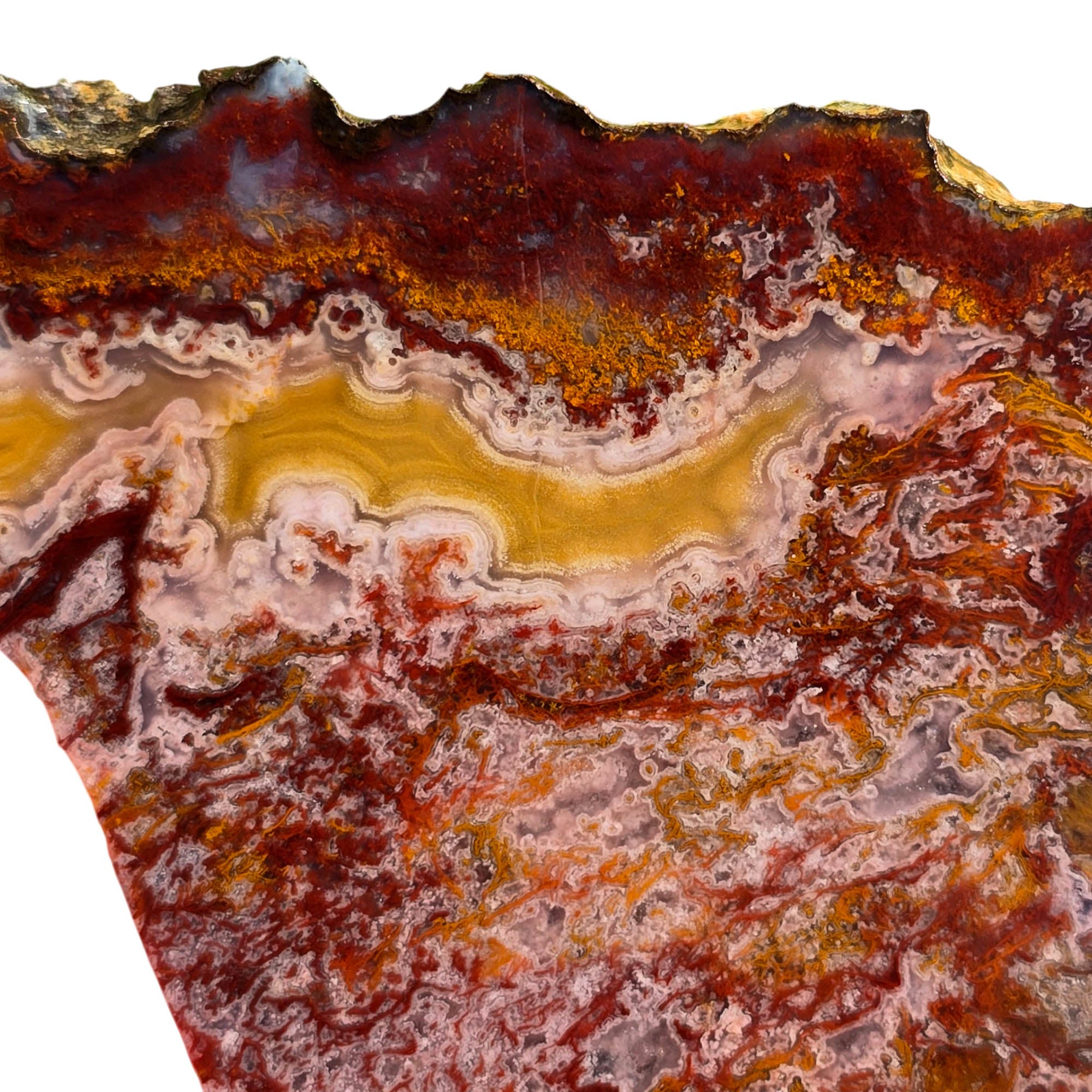 Agua Nueva Agate Slab Purple Passion Golden Yellow Fortification #3721-Photo2