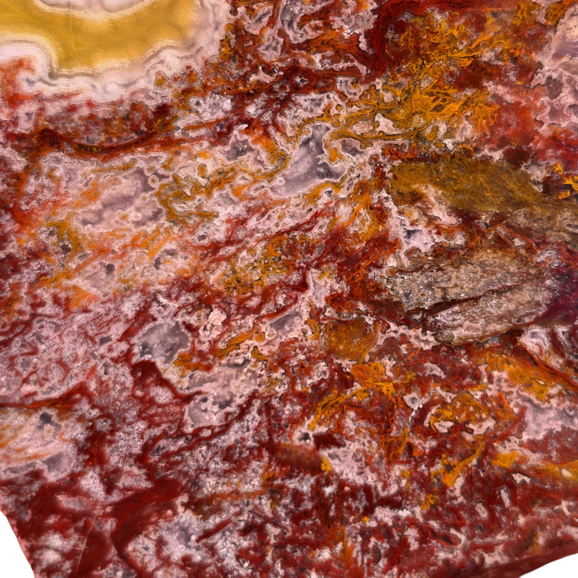 Agua Nueva Agate Slab Purple Passion Golden Yellow Fortification #3721-Photo5