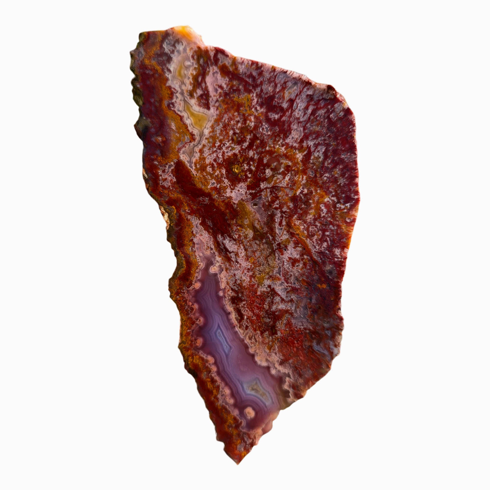 Agua Nueva Agate Slab Purple Passion Golden Yellow Fortification #3721-Photo6