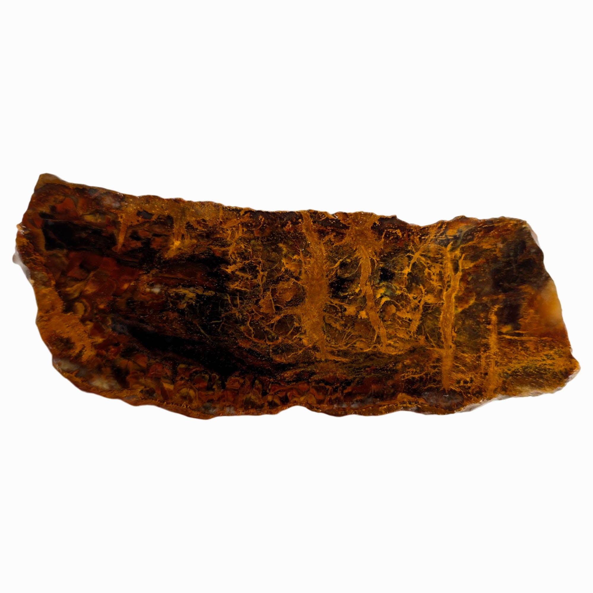 Madagascar Petrified Wood Slab – Plasma Lightning Pattern Triassic #3853-Photo3