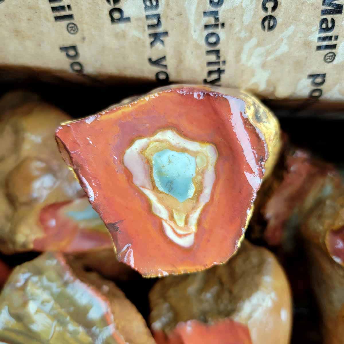 Polychrome Jasper Cutting Rough Flatrate!