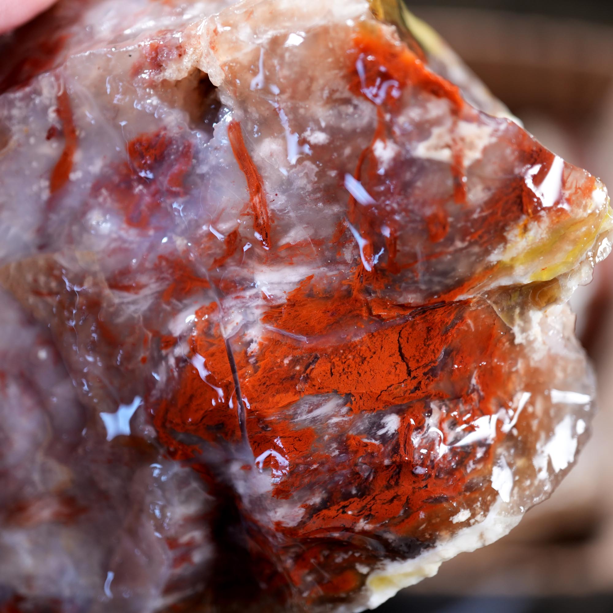 Kramer Hills Agate Flatrate - Bright Red Cutting Rough California
