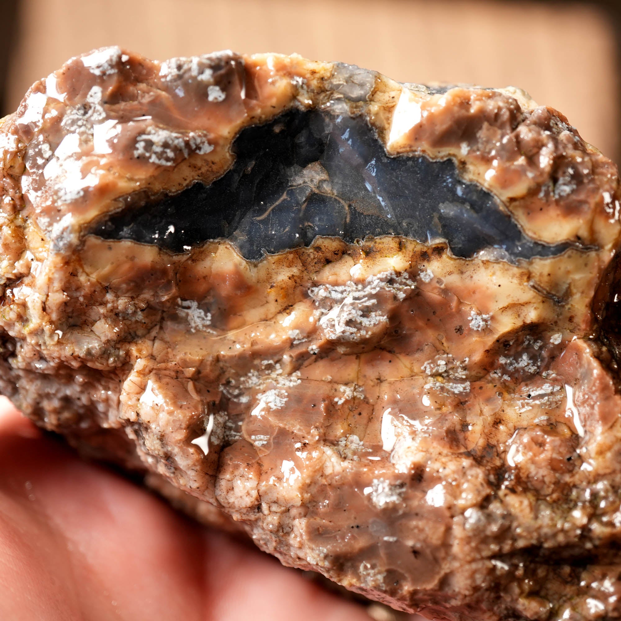Mix Old Stock Oregon Thundereggs Rough - Rare Priday Plume Potential #F374-Photo1