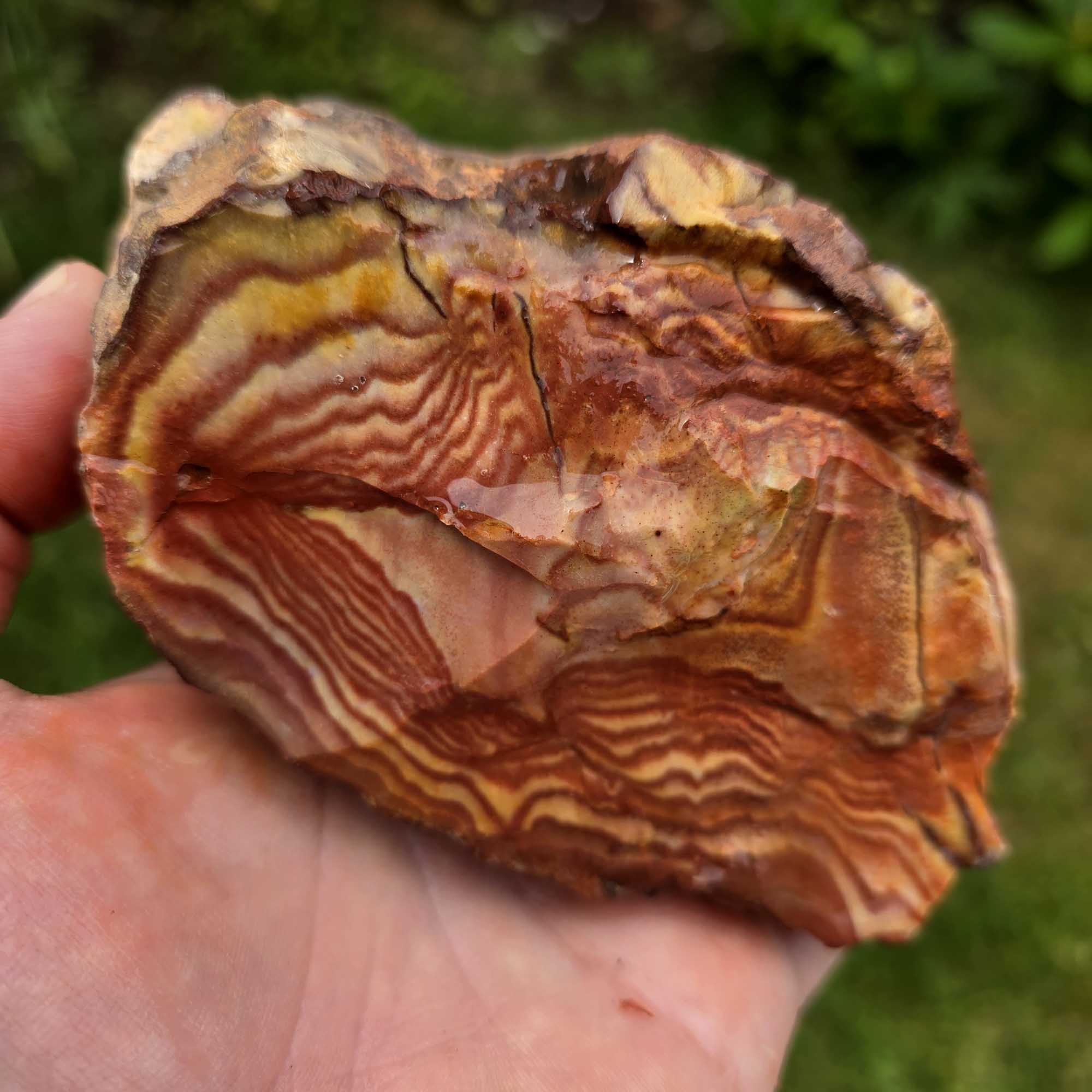 High-Grade Wonderstone Jasper Cutting Rough Flatrate Lapidary Stone