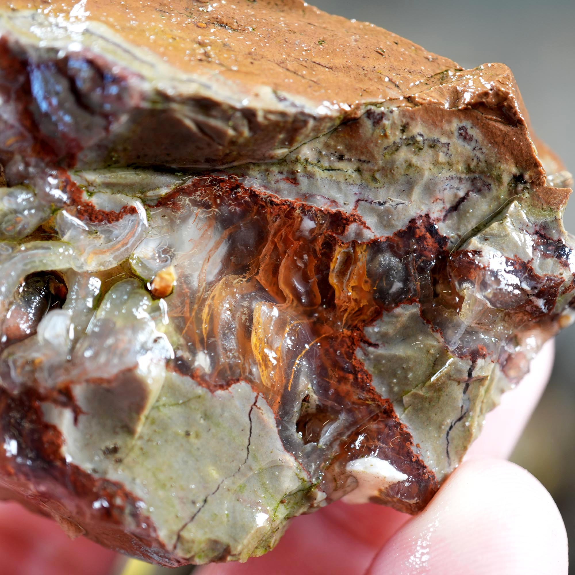 Old Stock Rare Mix Oregon Thunderegg Flatrate