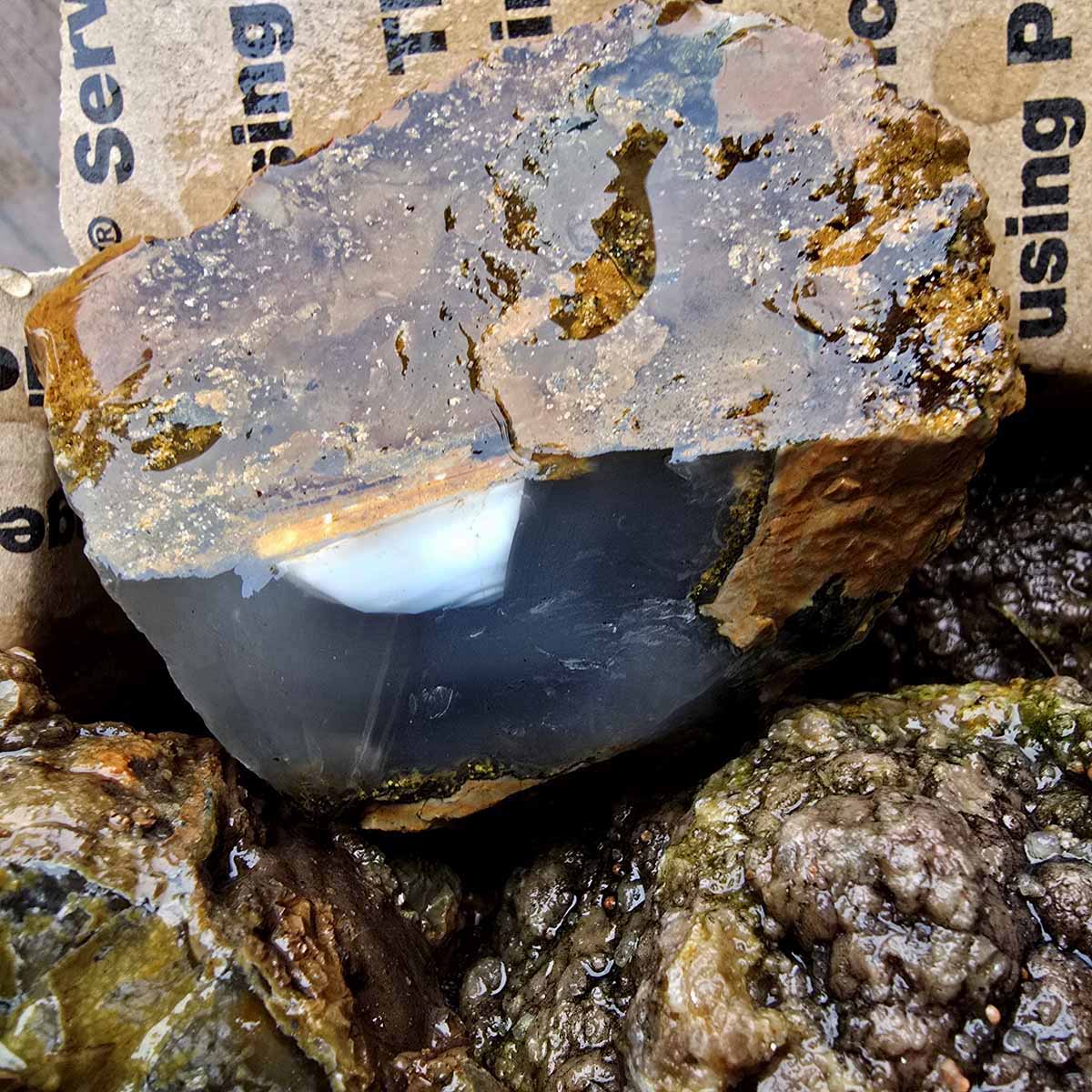 Old Stock Oregon Thunderegg Cutting Rough Flatrate Slicing Stones Rock Box