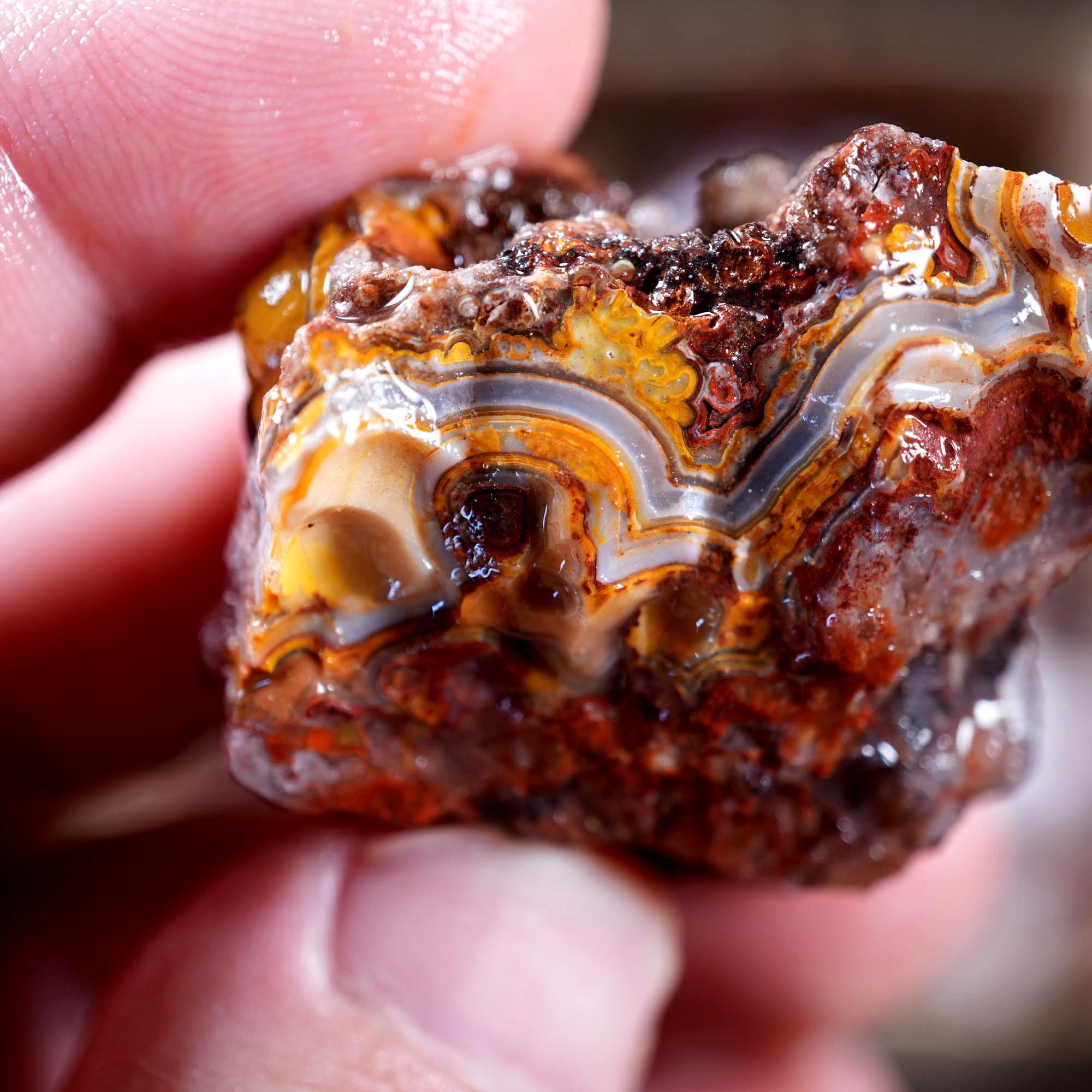 Crazy Lace Agate Tumbling Rough Flatrate - Premium Lace Mexican
