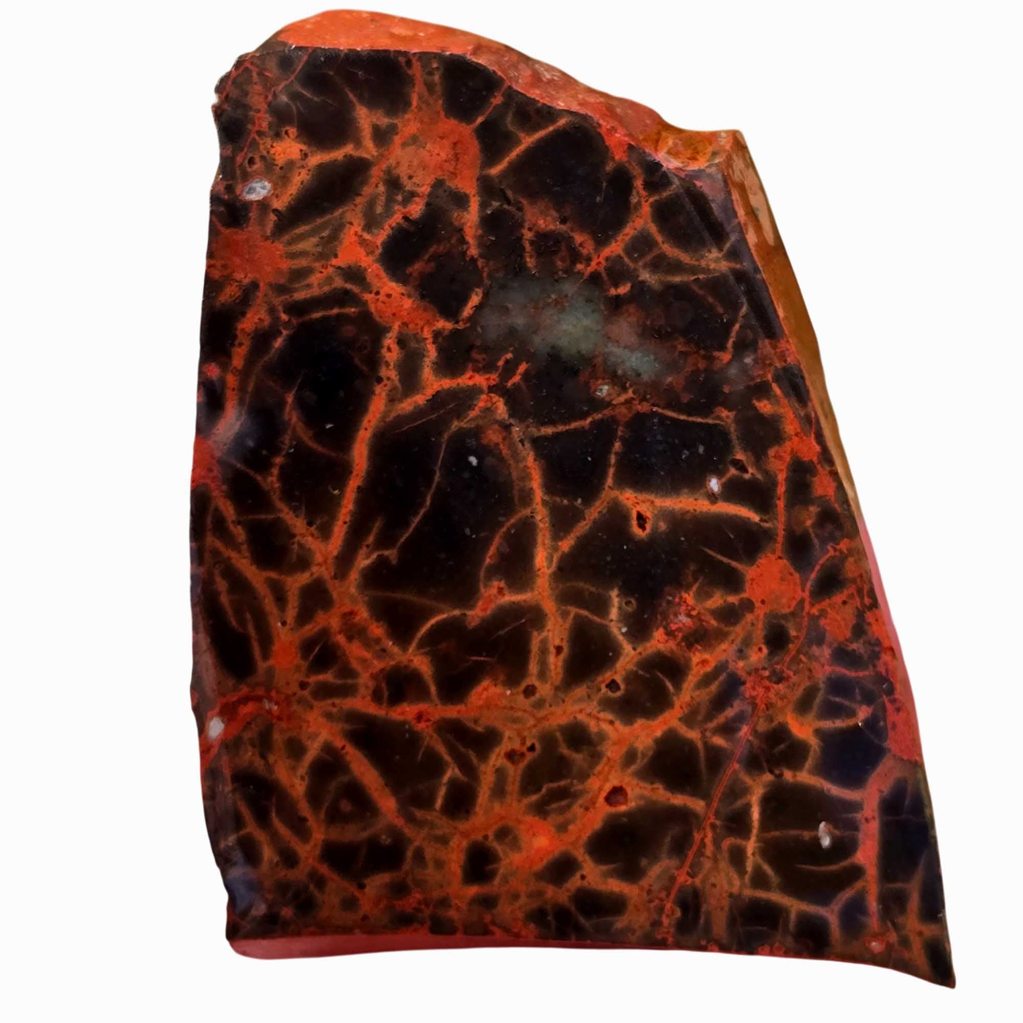 Spiderman Jasper Slab – Iconic Spiderweb Pattern – Owyhee Mountains Oregon