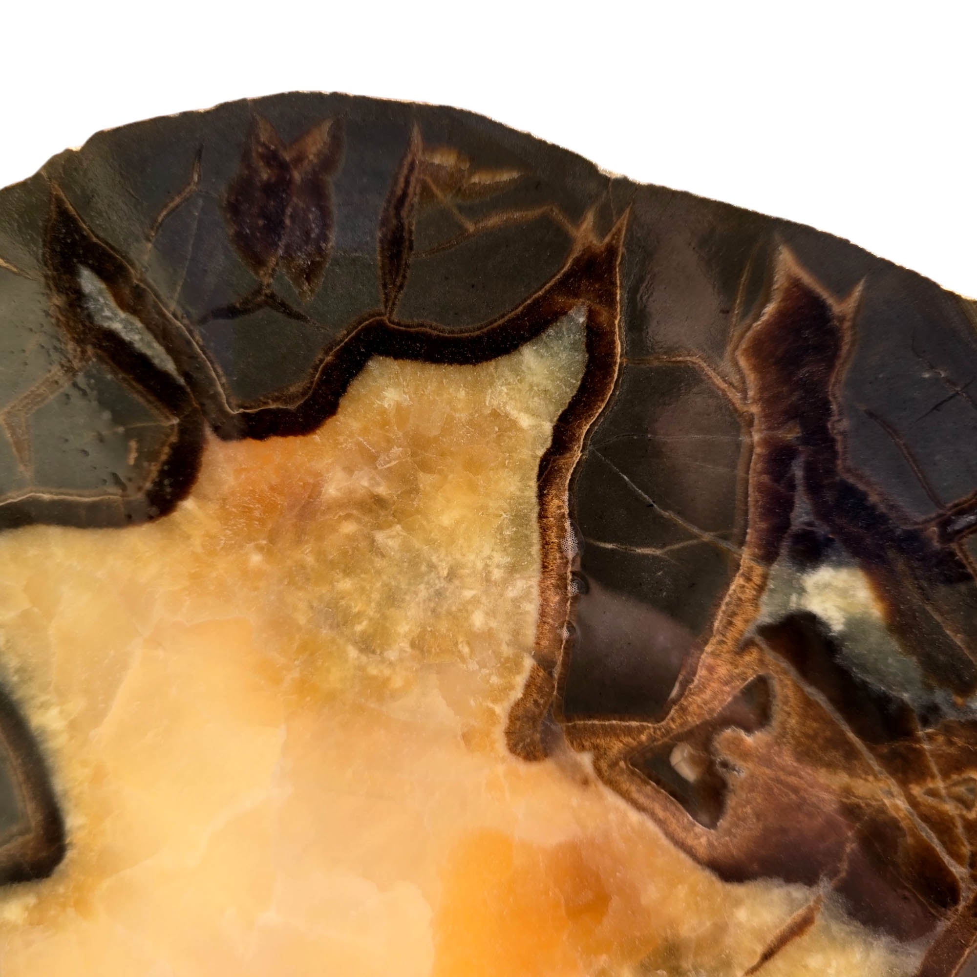 Septarian Nodule Slab - Calcite Center Dark Outline Crackle #3697-Photo2