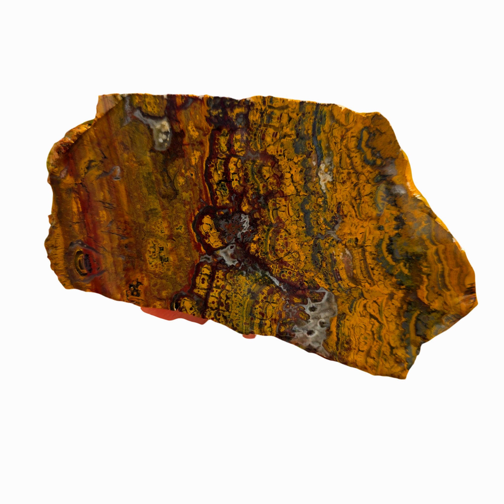 Apple Valley Jasper Slab - Hematite Flowers Stromatolite Pattern #3698-3