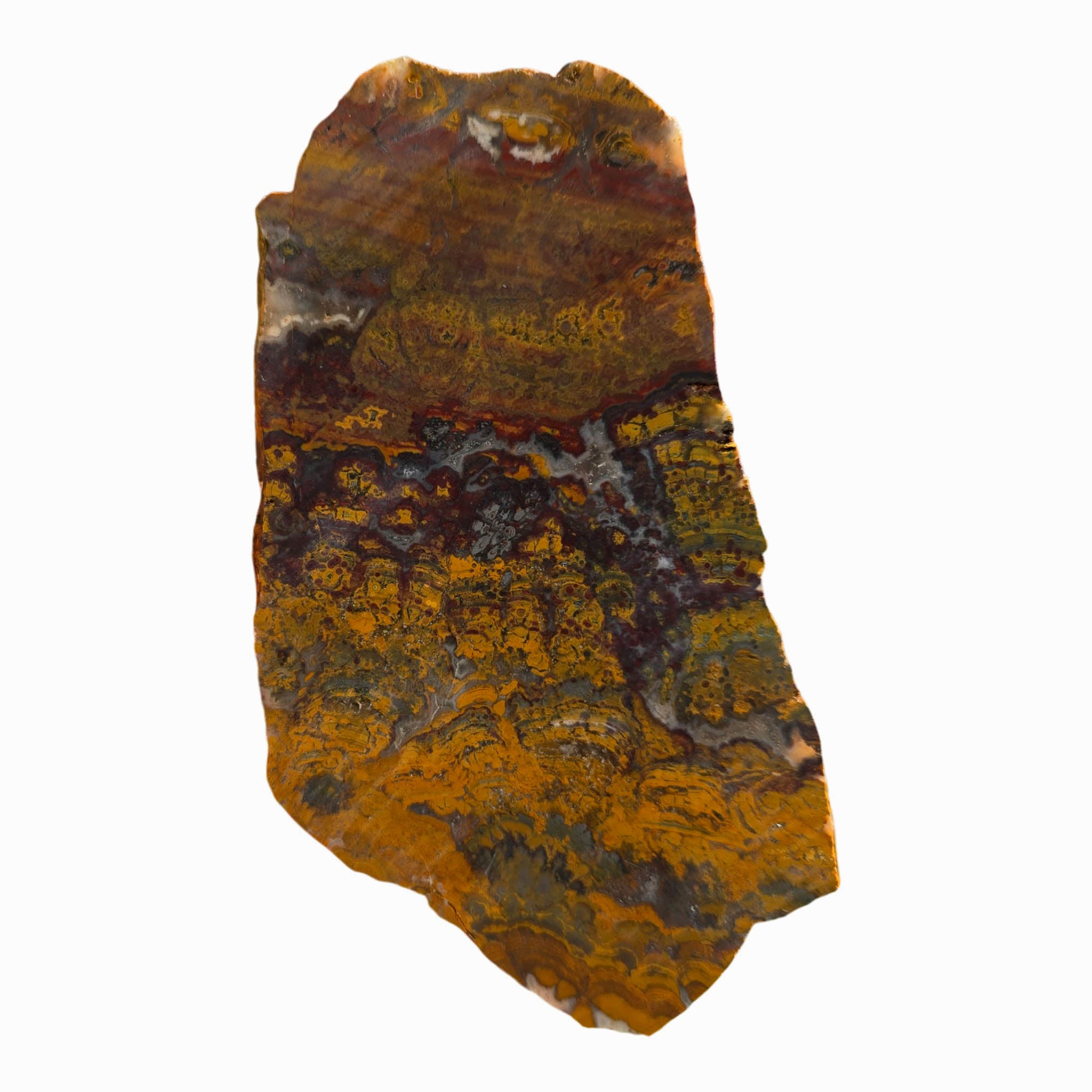 Apple Valley Jasper Slab Dry - Hematite Flowers Stromatolite Pattern #3698-5