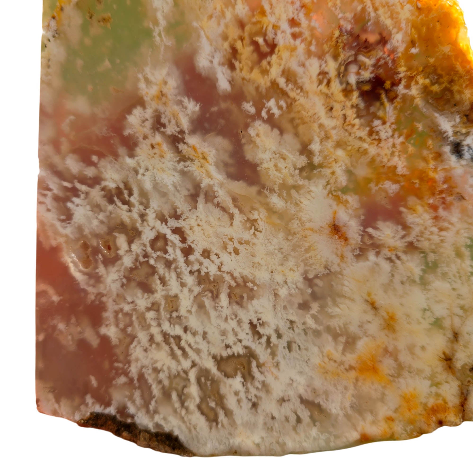 Nyedigger Plume Agate Slab – White Butterscotch Wispy Plumes Rare #3699-Photo2