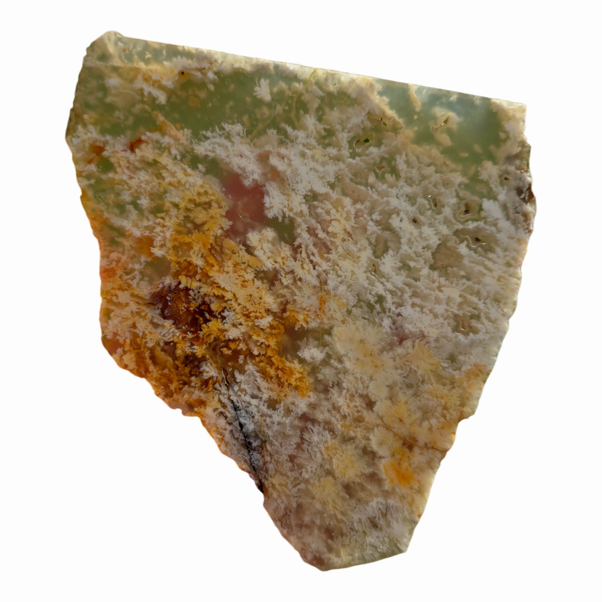 Nyedigger Plume Agate Slab – White Butterscotch Wispy Plumes Rare #3699-Photo4