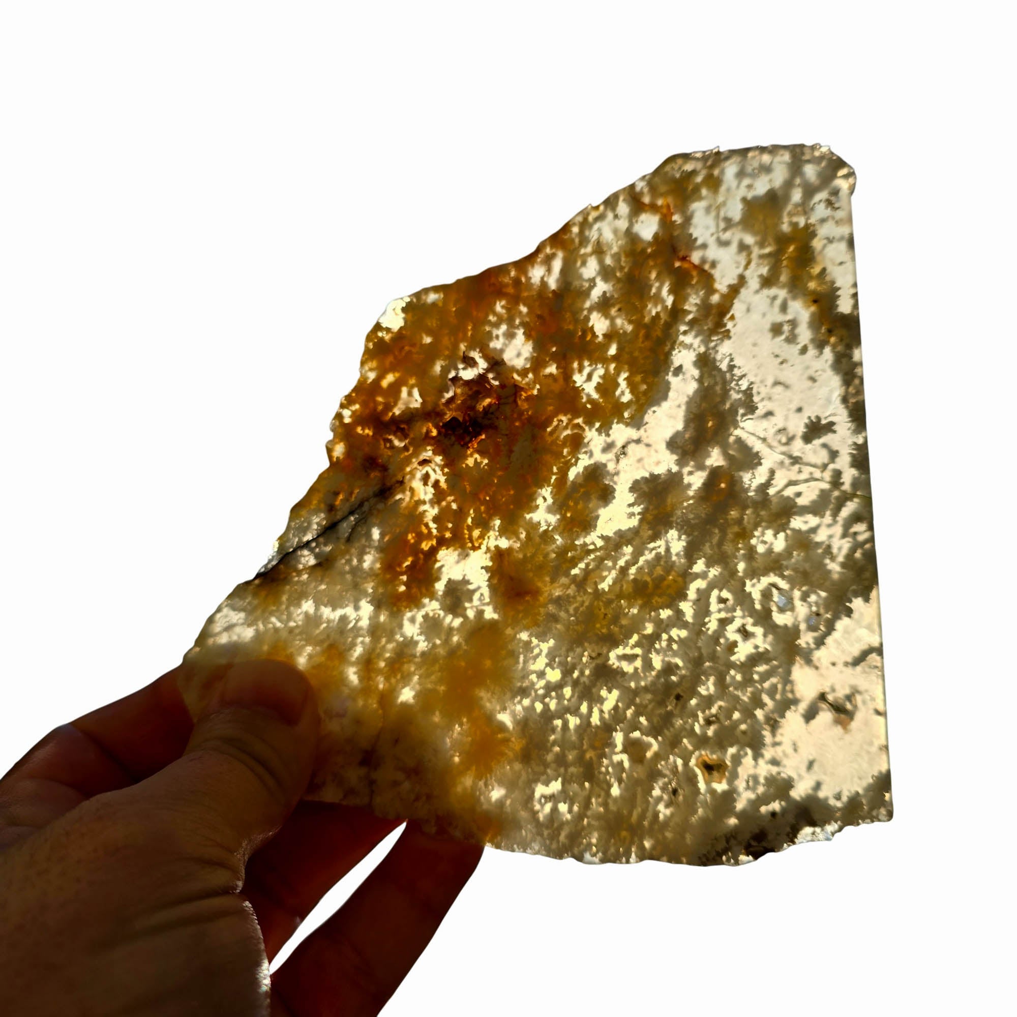 Nyedigger Plume Agate Slab – White Butterscotch Wispy Plumes Rare #3699-Photo5