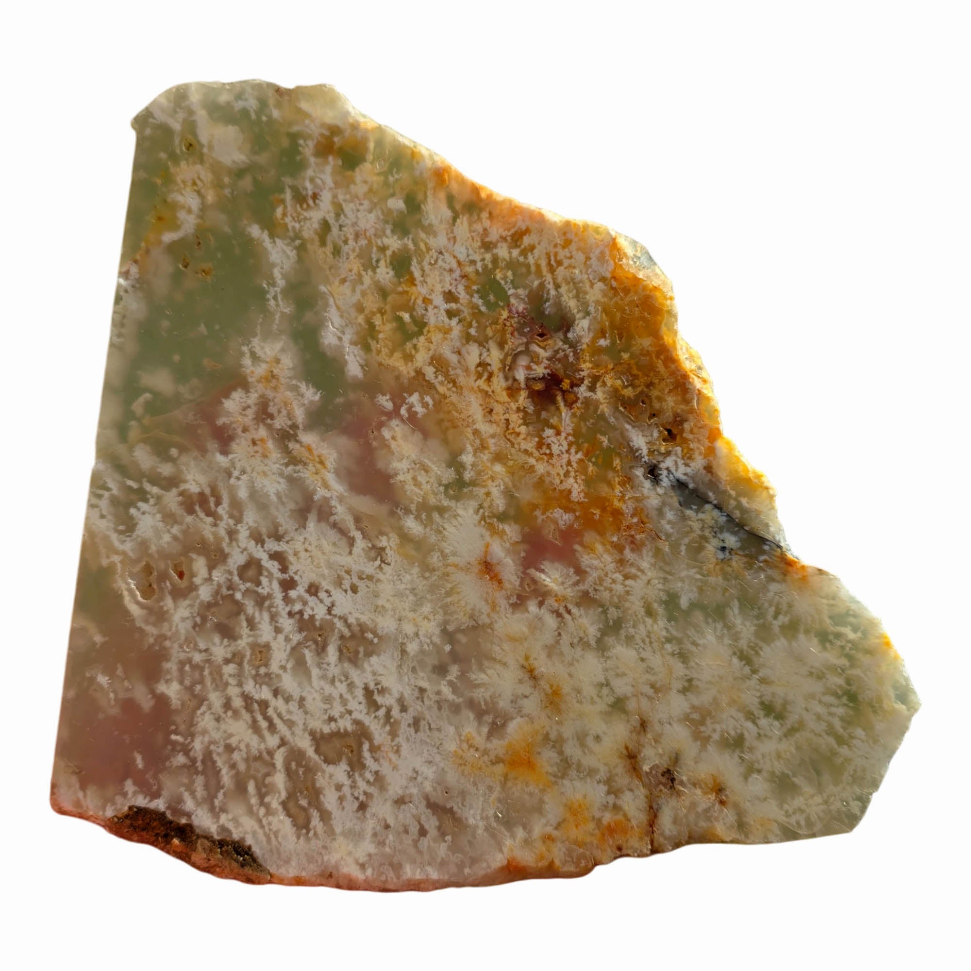 Nyedigger Plume Agate Slab Dry – White Butterscotch Wispy Plumes Rare #3699-Photo6