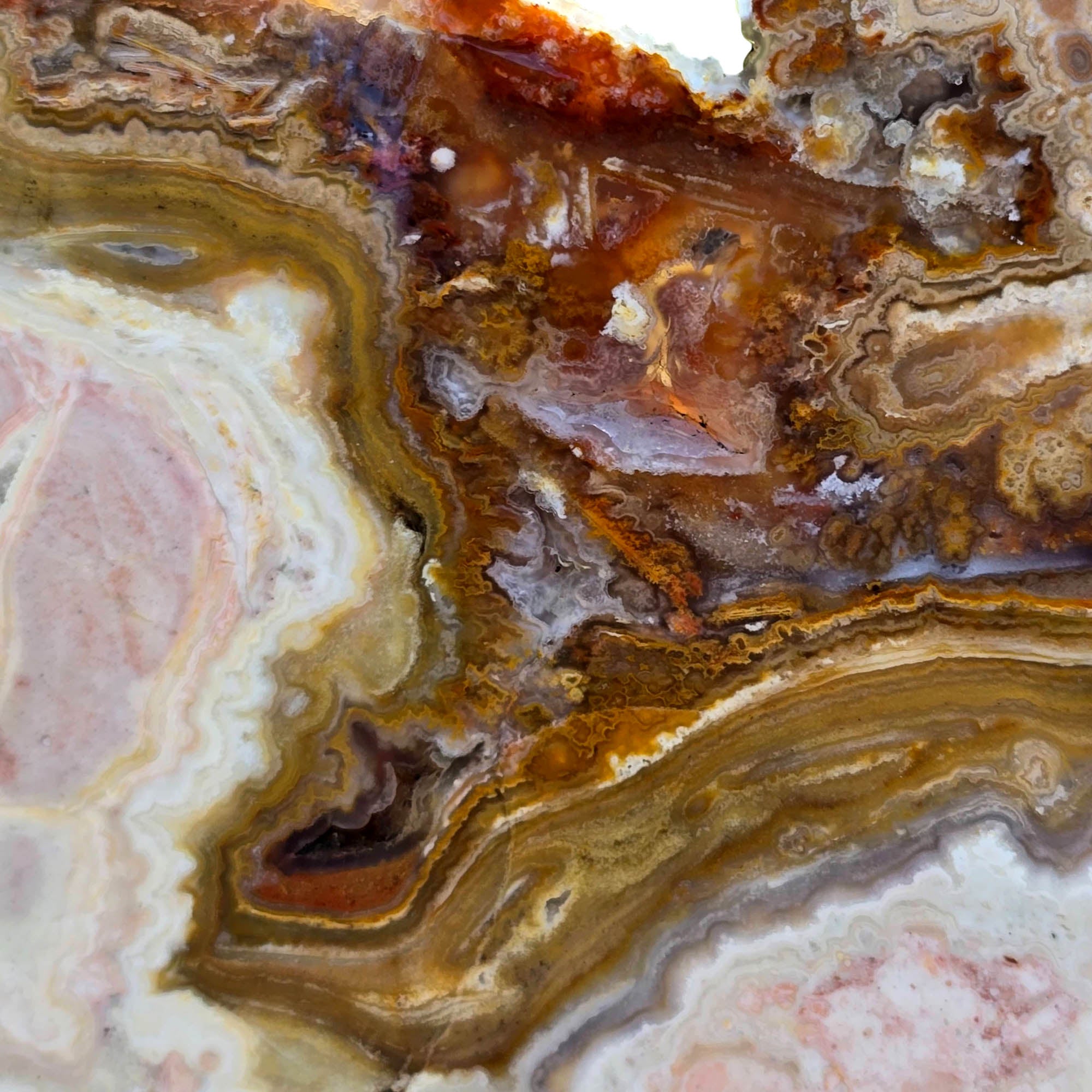 Lysite Agate Slab – Pink Stalactite Pattern Wyoming Blizzard Stone #3701-Photo4