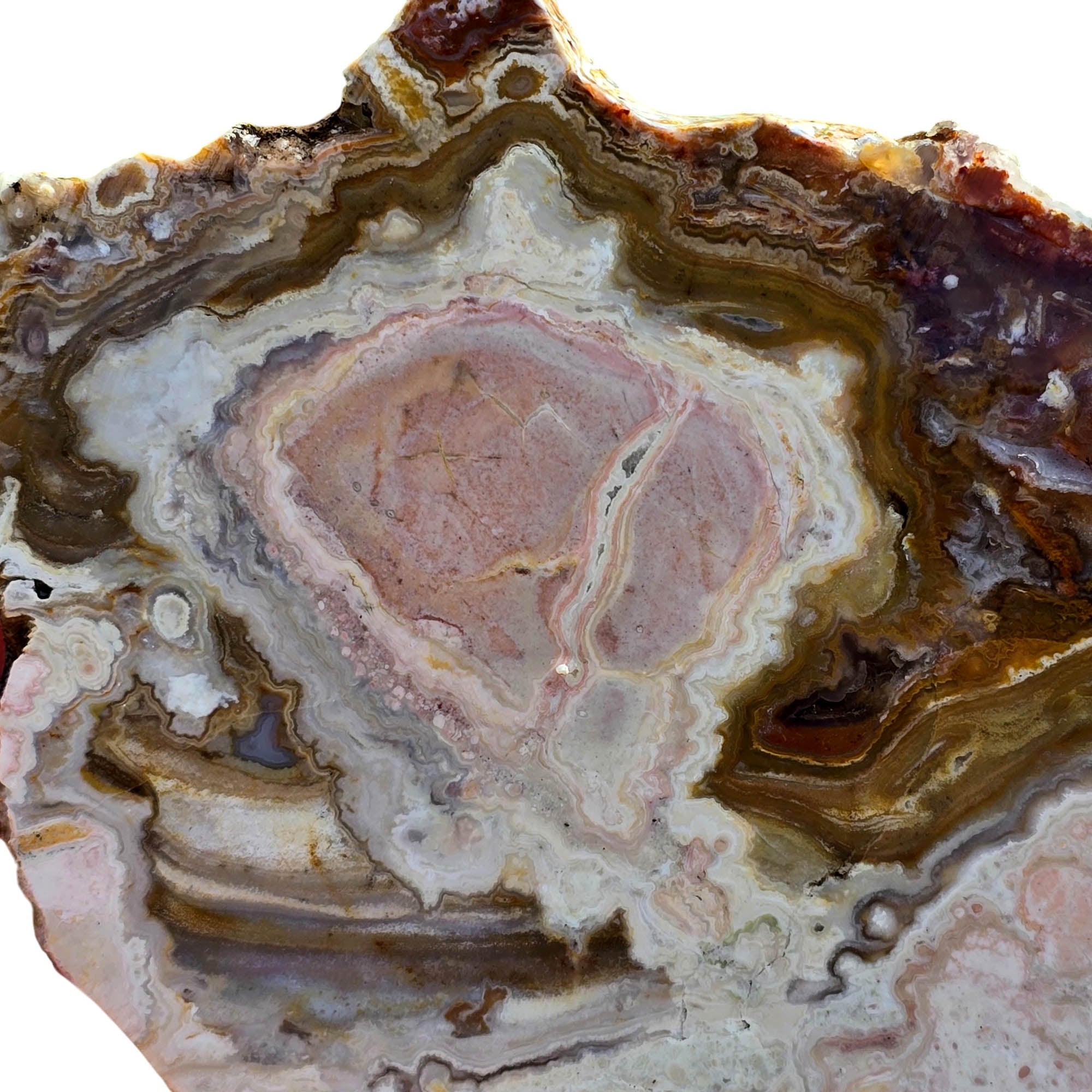 Lysite Agate Slab – Pink Stalactite Pattern Wyoming Blizzard Stone #3701-Photo5