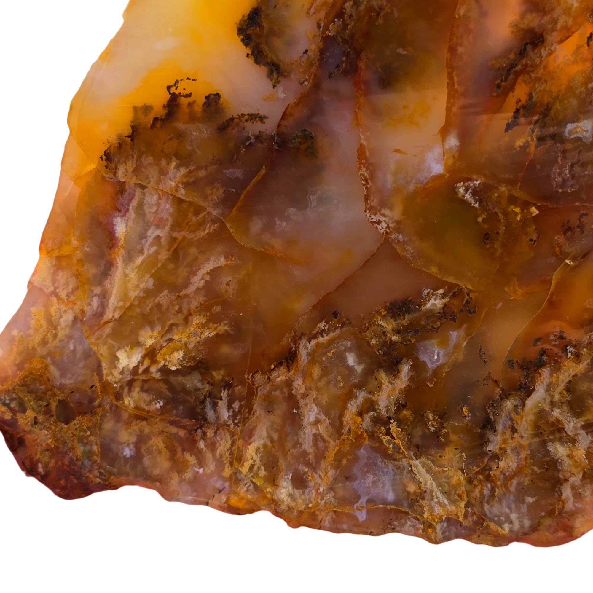 Graveyard Plume Agate Slab – Spiked Plume Butterscotch Classic Oregon #3702-Photo2
