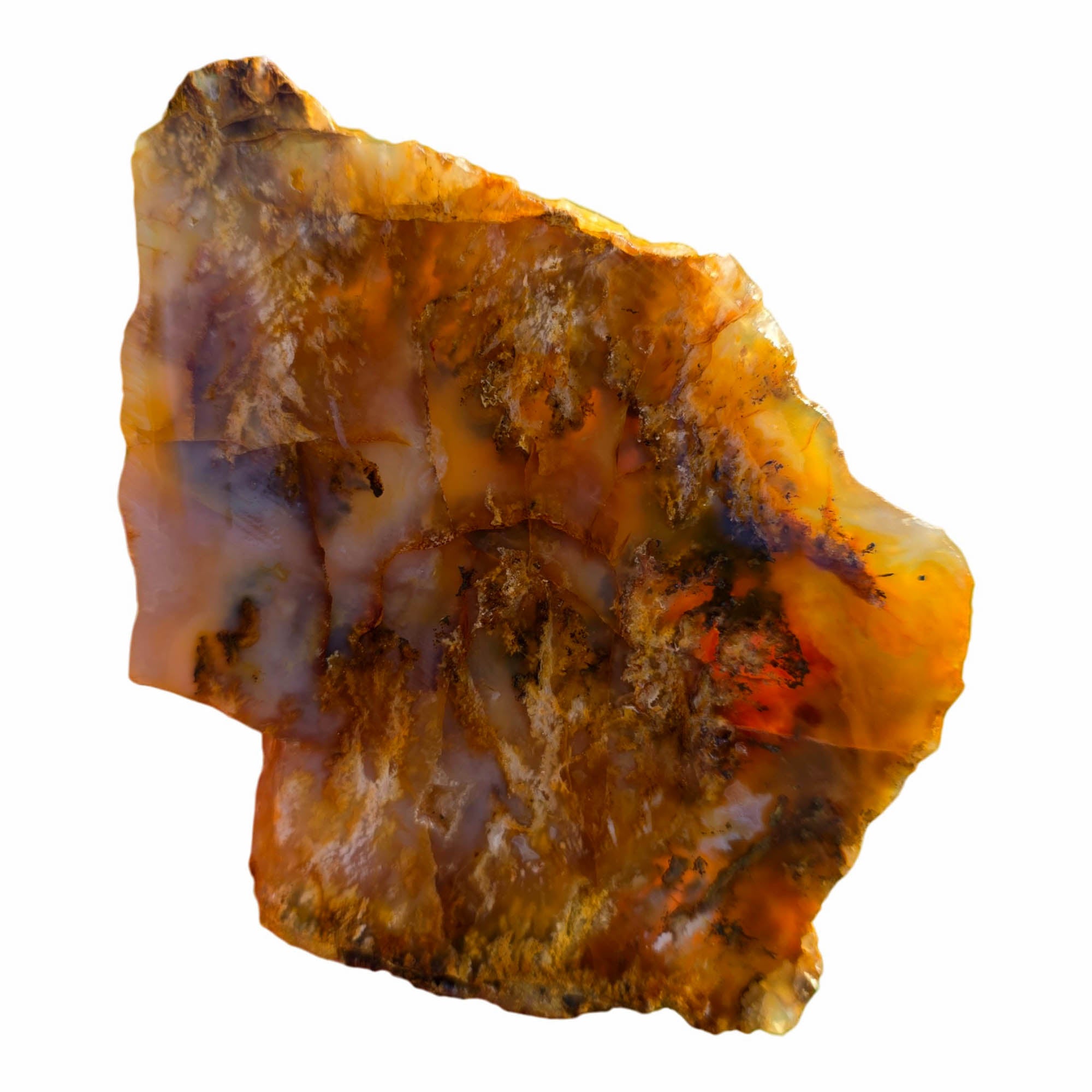 Graveyard Plume Agate Slab – Spiked Plume Butterscotch Classic Oregon #3702-Photo3