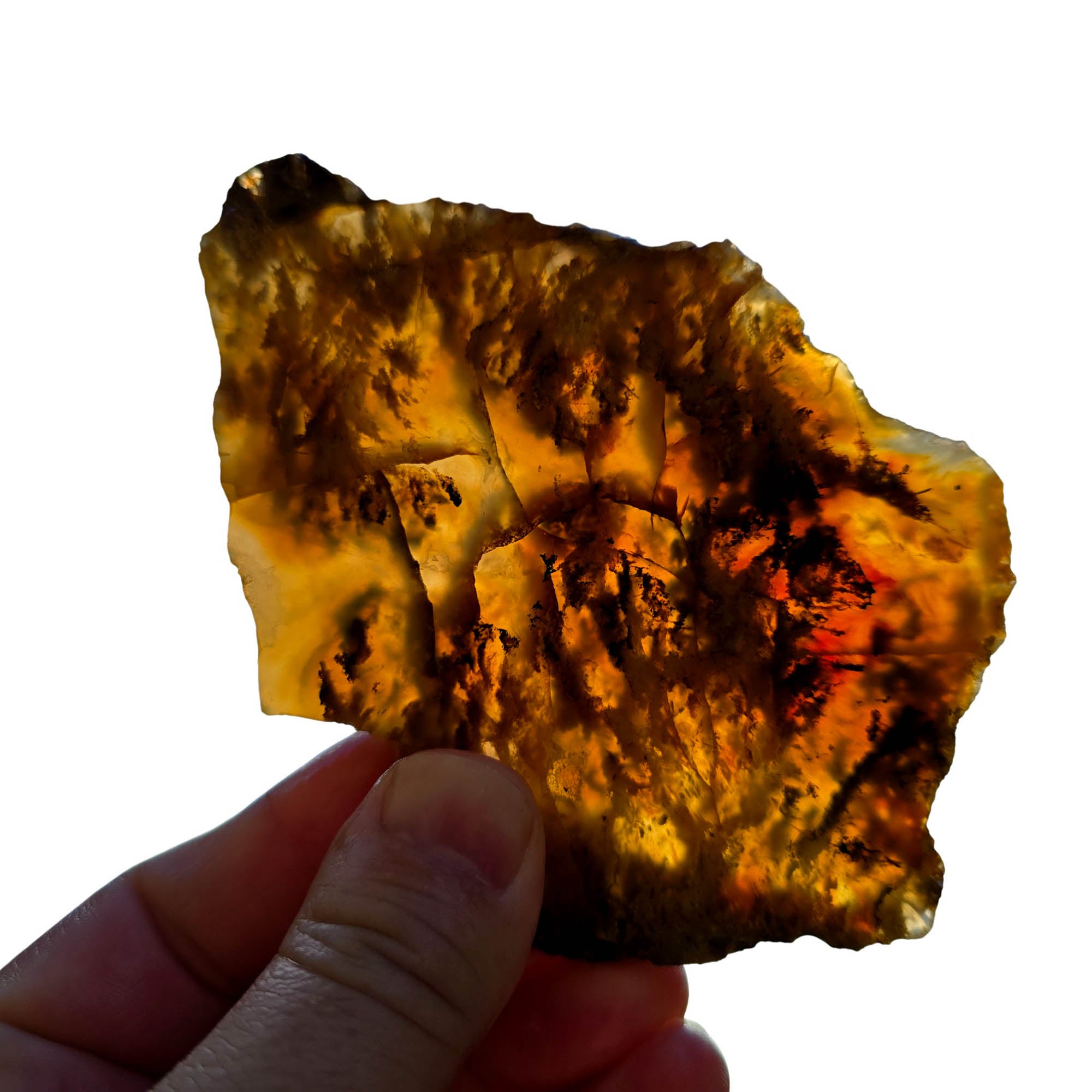 Graveyard Plume Agate Slab – Spiked Plume Butterscotch Classic Oregon #3702-Photo4