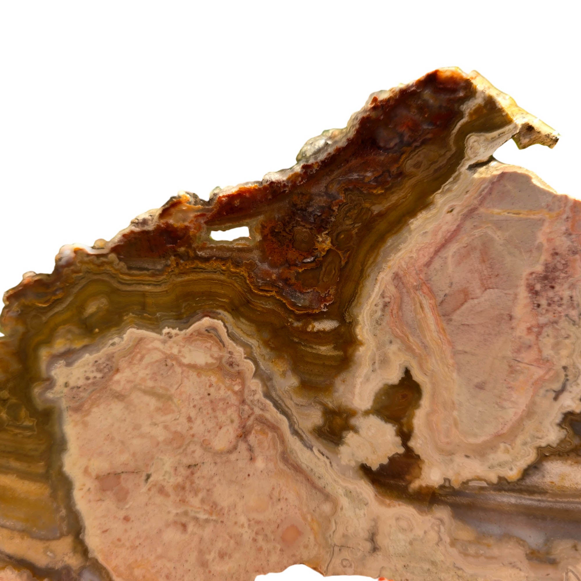Lysite Agate Slab - Pink Lace Moss Layers - Wyoming Blizzard