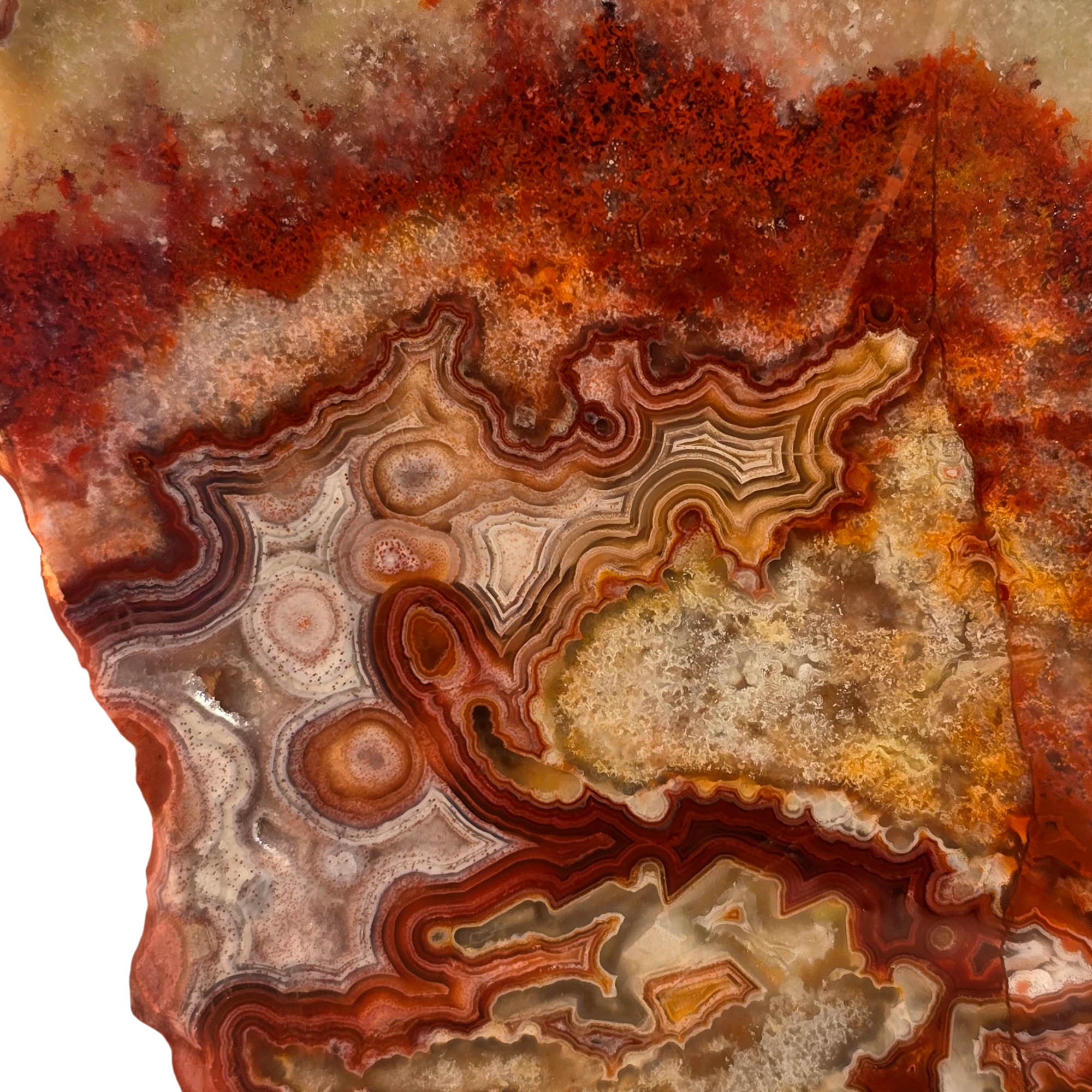 Laguna Lace Agate Slab - High Green Banded - Sugar Quartz Accents