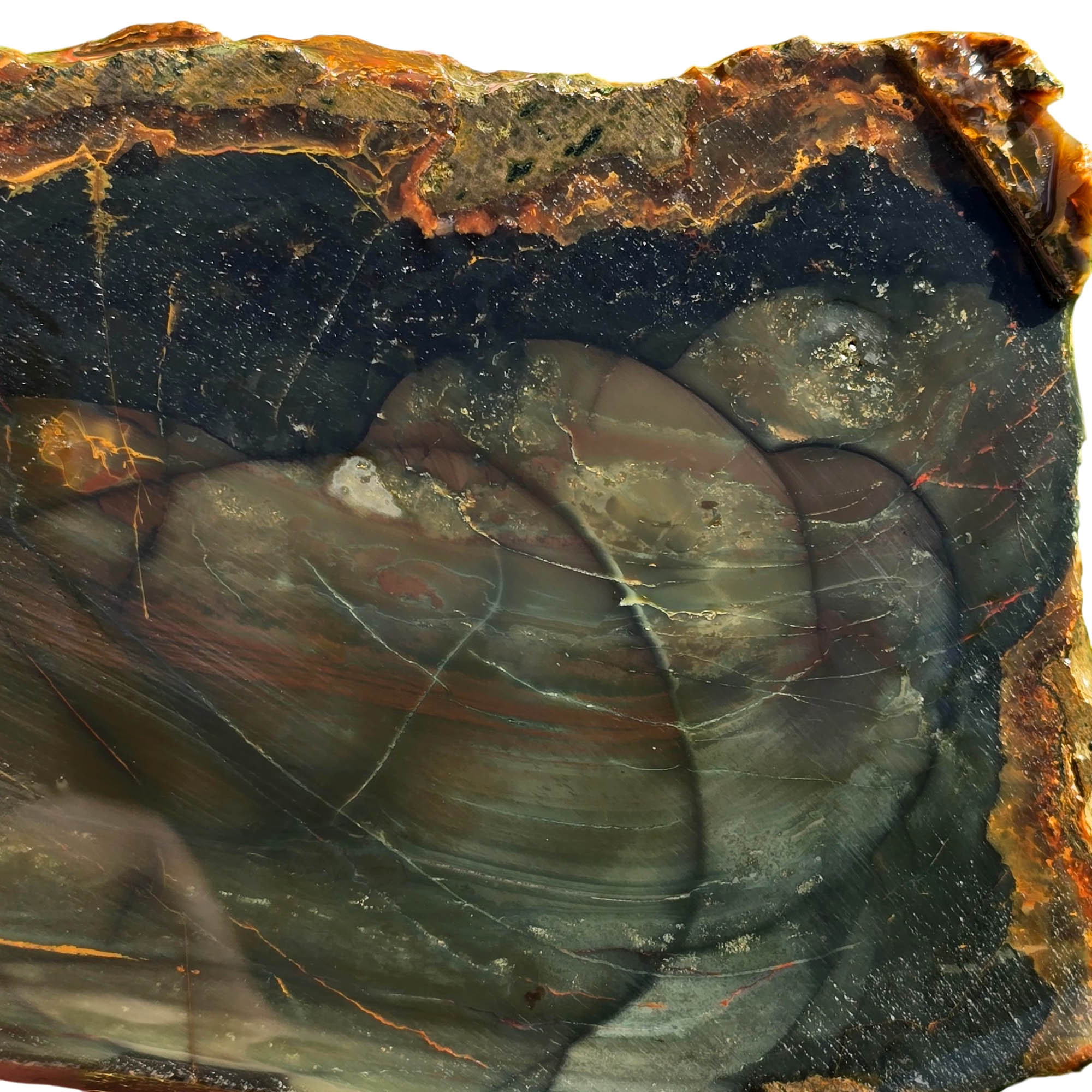 Blue Mountain Jasper Slab - Six Layered Orbs - Deep Blue Sky