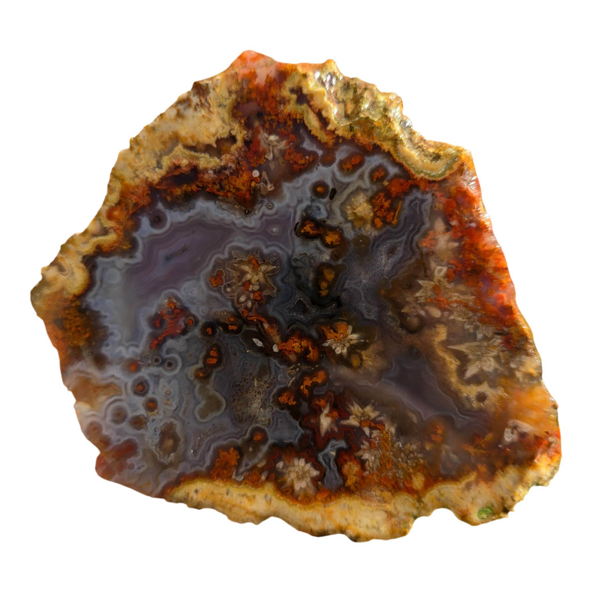 San Carlos Agate Slab - Blue Tube Inclusions - Wispy Star Snowflakes