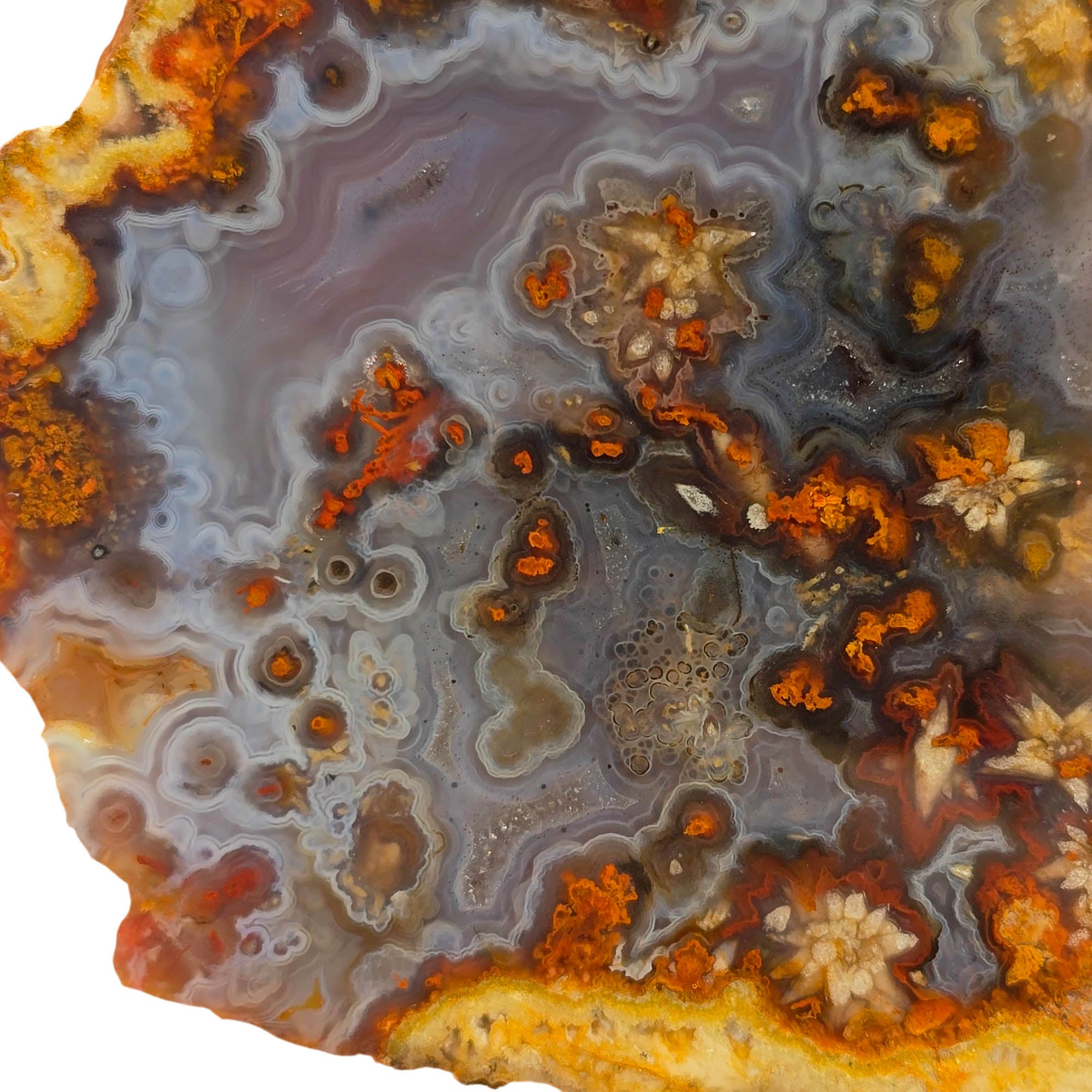 San Carlos Agate Slab - Blue Tube Inclusions - Wispy Star Snowflakes