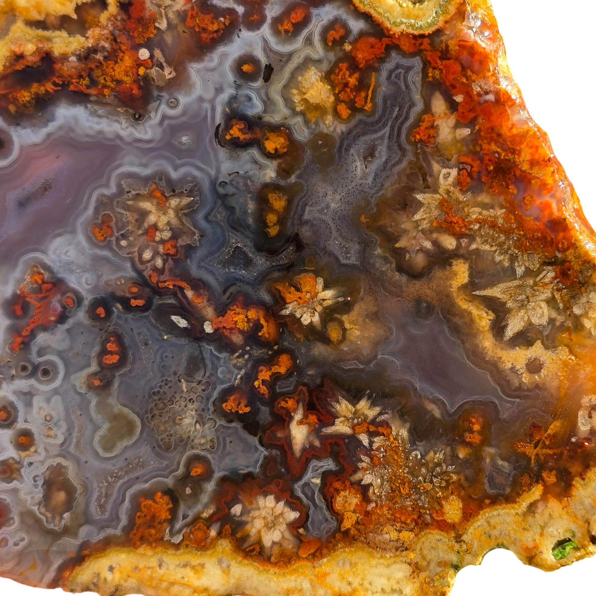 San Carlos Agate Slab - Blue Tube Inclusions - Wispy Star Snowflakes