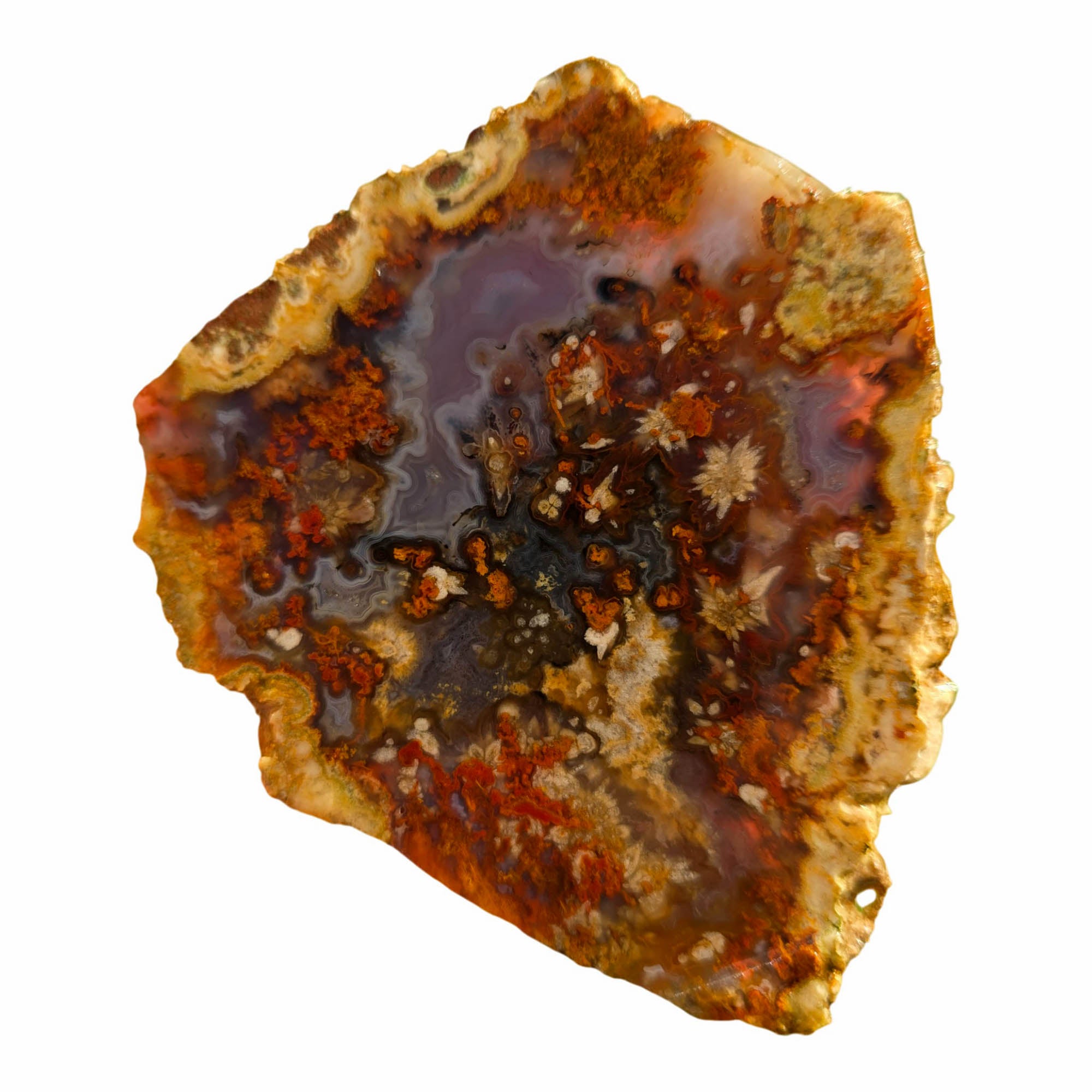 San Carlos Agate Slab - Blue Tube Inclusions - Wispy Star Snowflakes