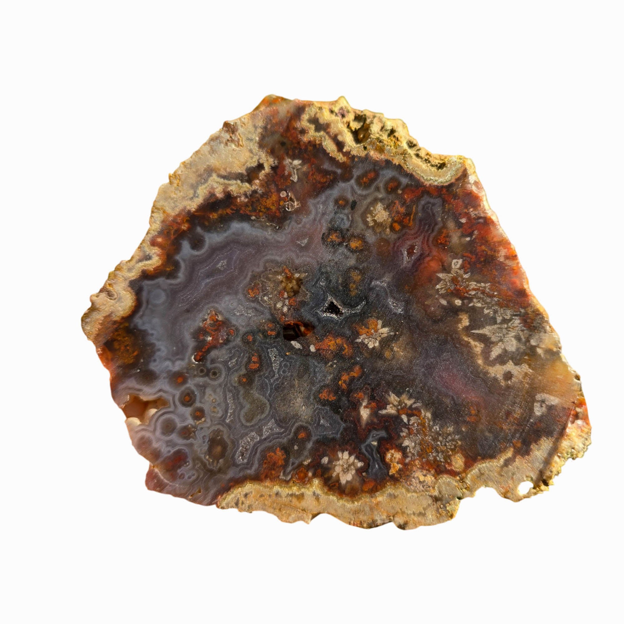 San Carlos Agate Slab - Blue Tube Inclusions - Wispy Star Snowflakes