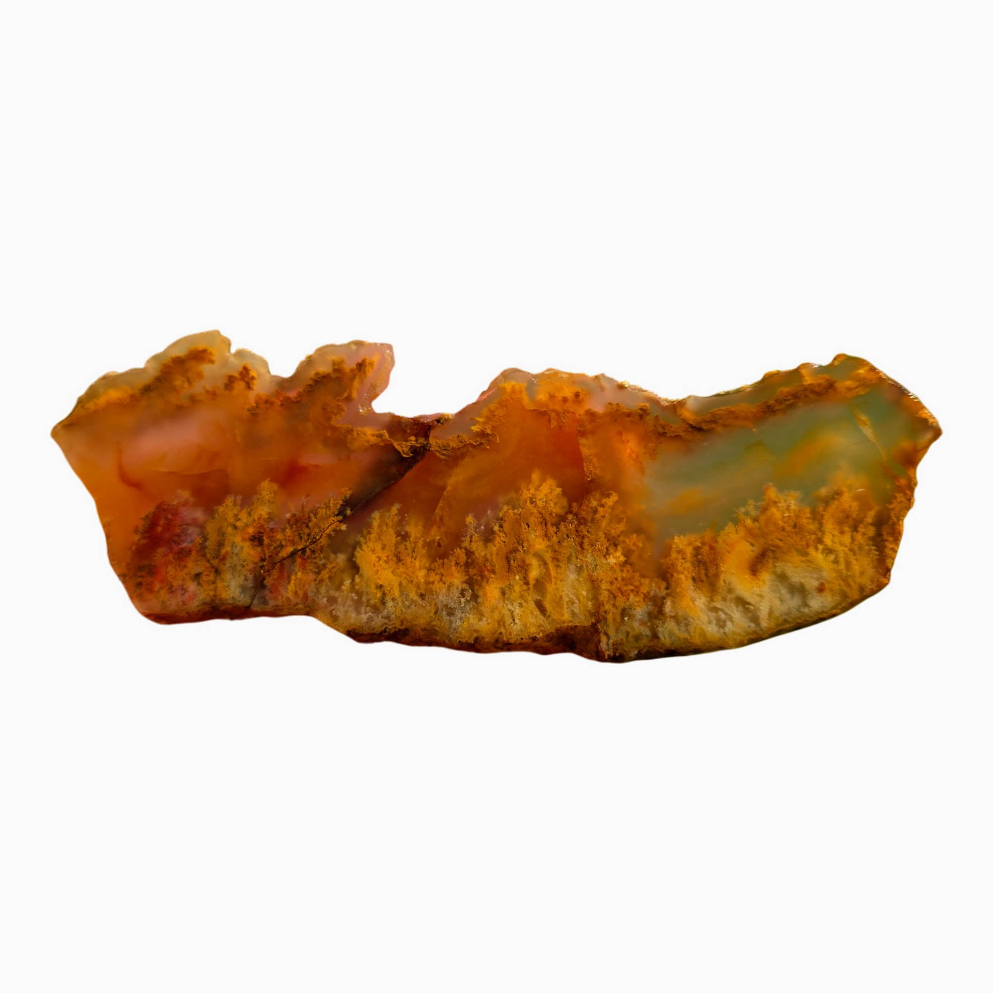 Regency Rose Plume Agate Slab - Spiky Red Plume - Wildfire Flame