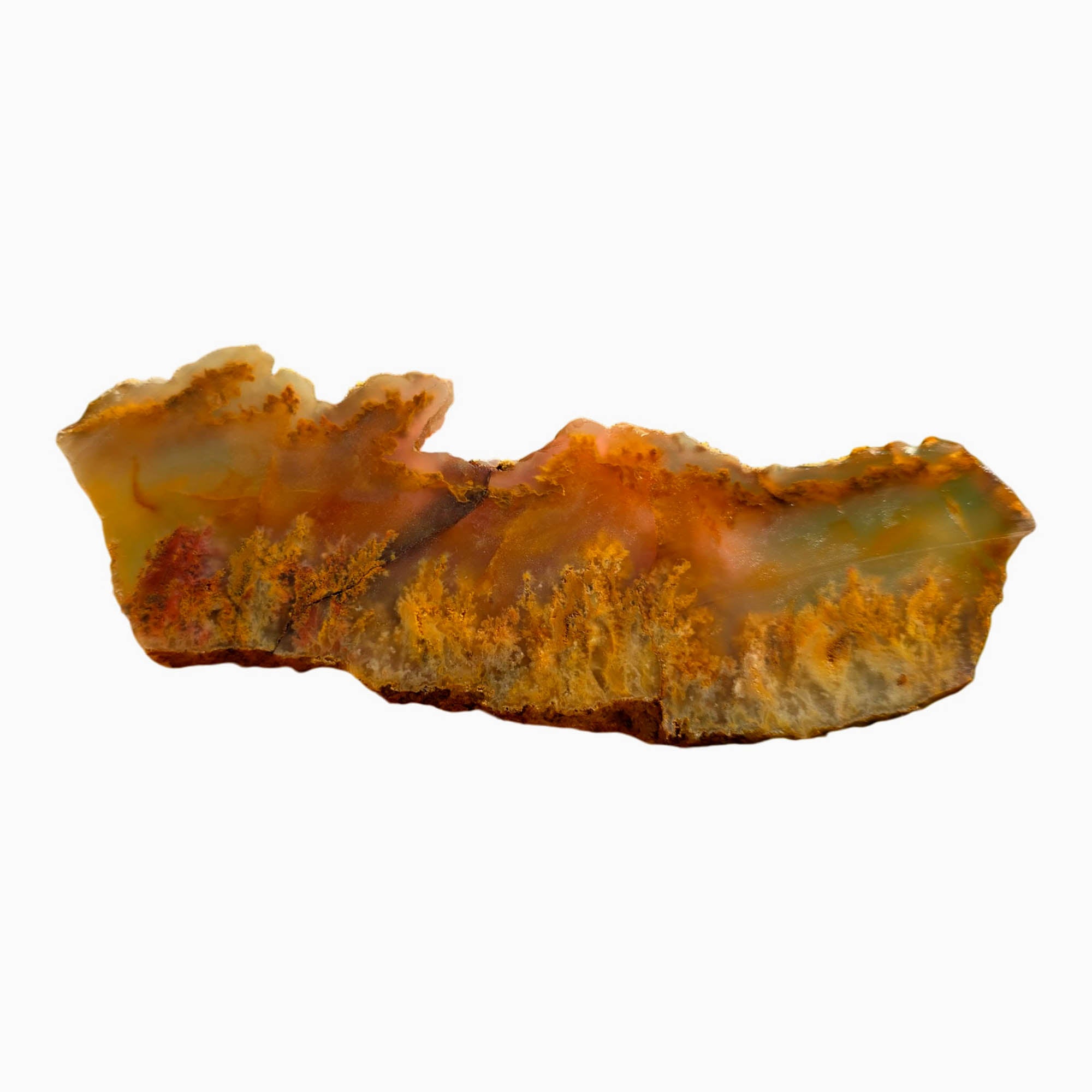 Regency Rose Plume Agate Slab - Spiky Red Plume - Wildfire Flame
