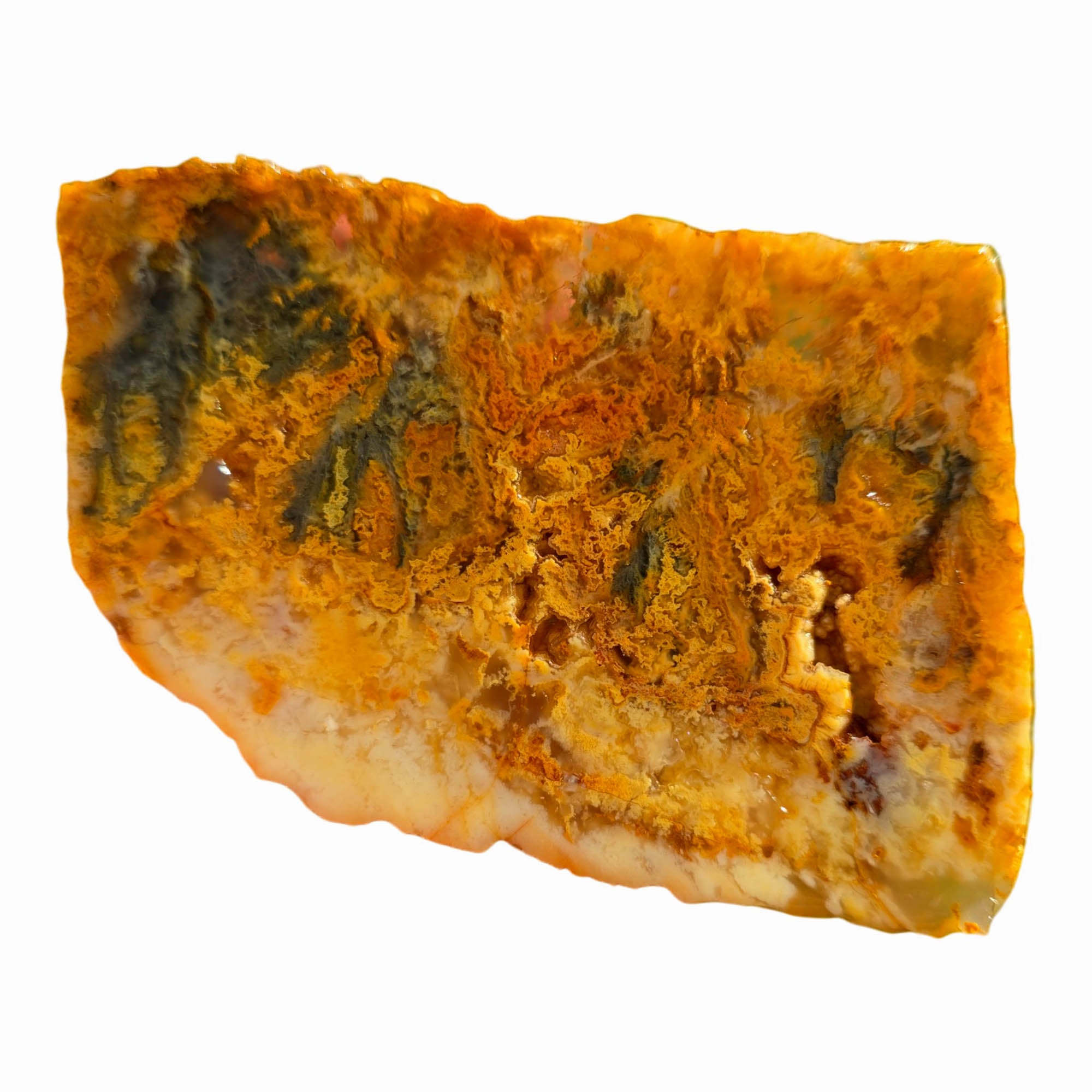 Regency Rose Plume Agate Slab - Butterscotch Black Hematite Druzy #3711-4