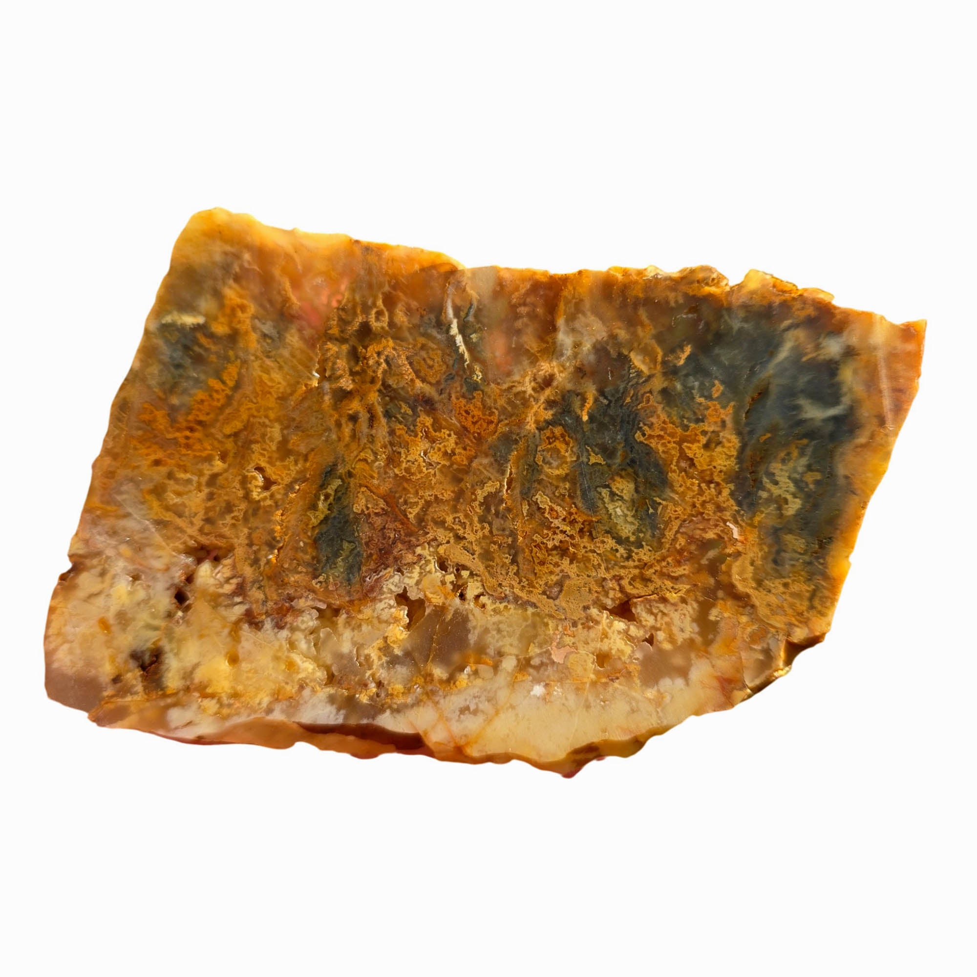 Regency Rose Plume Agate Slab Dry - Butterscotch Black Hematite Druzy #3711-5