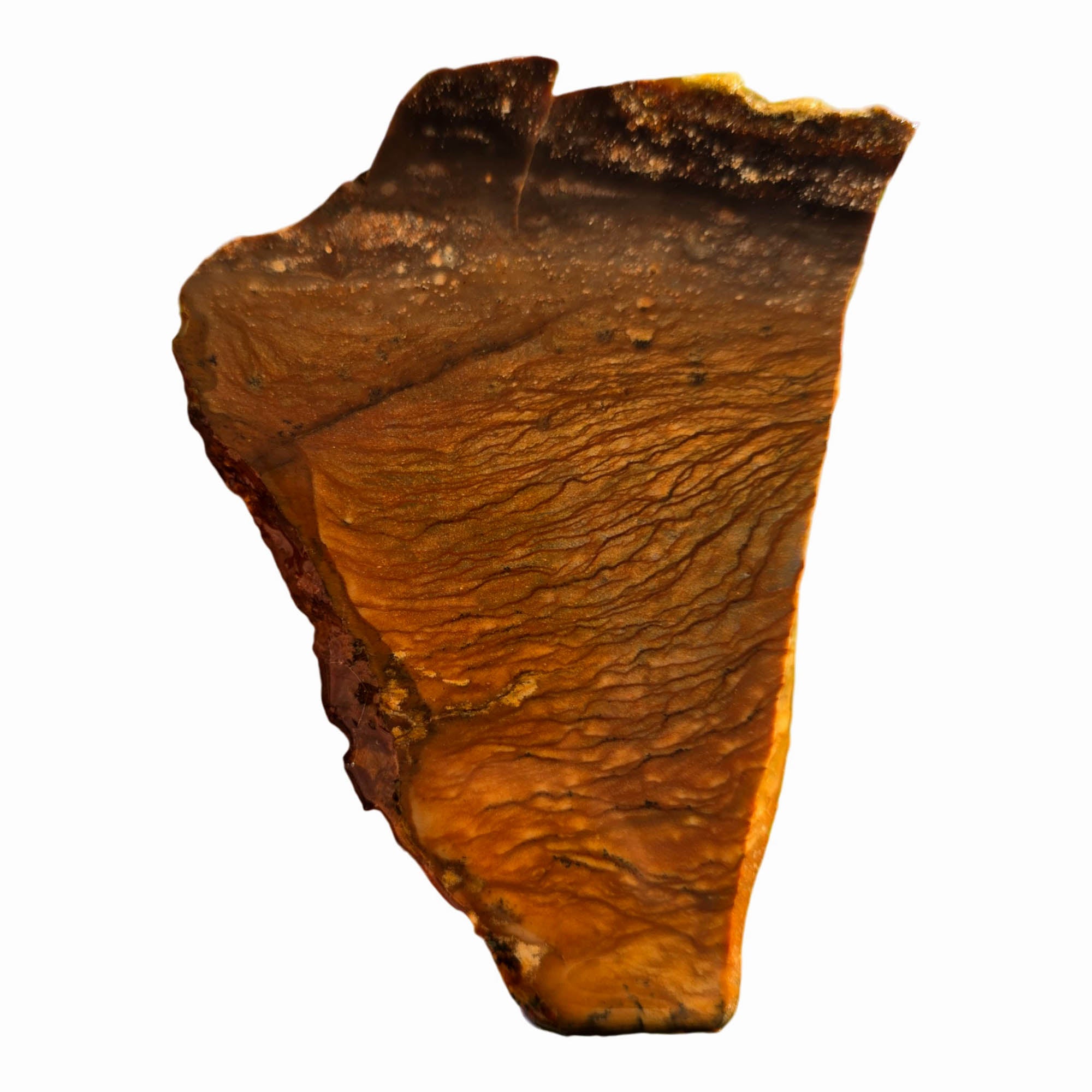 Biggs Picture Jasper Slab Rolling Hills Dust Storm Sky #3712-Photo3