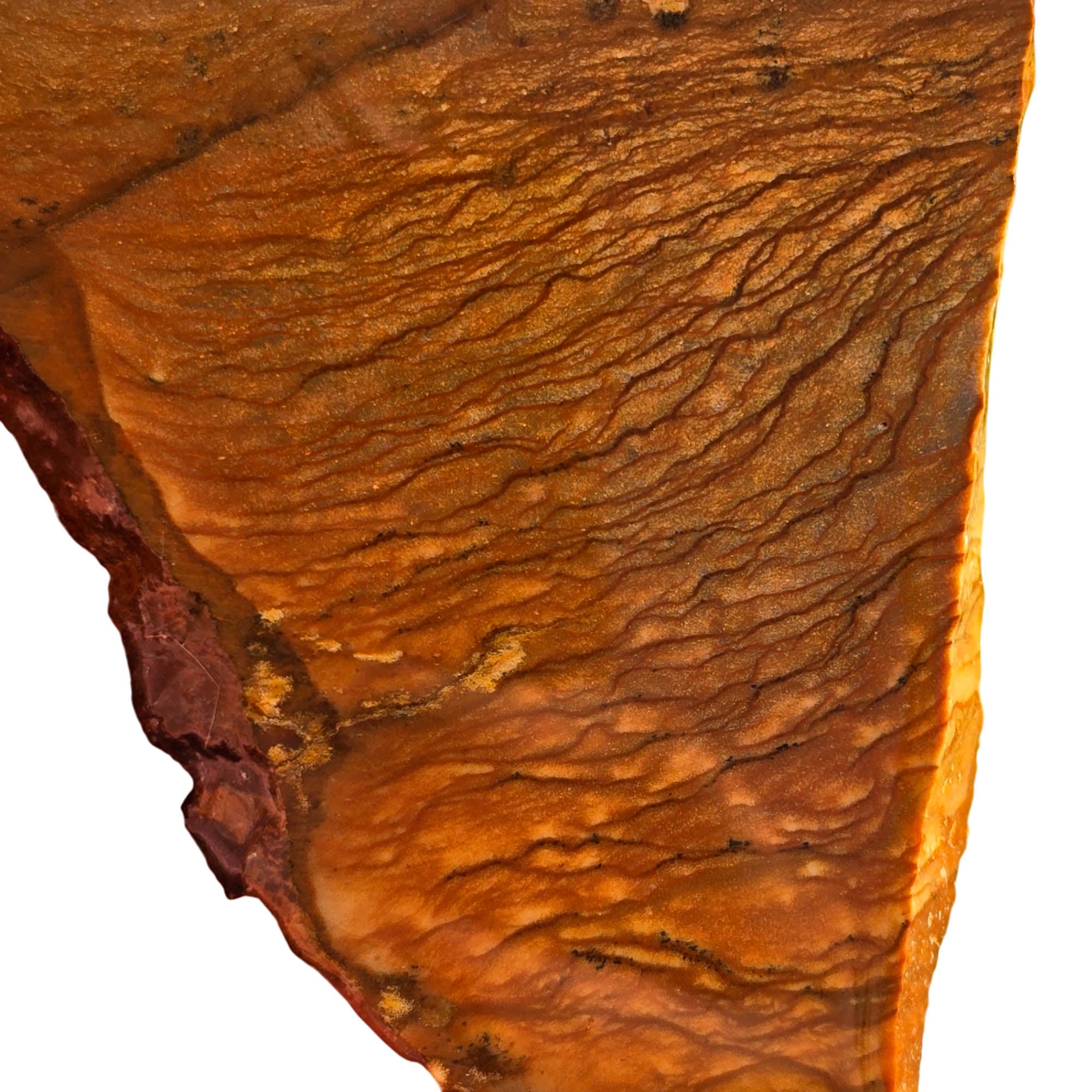 Biggs Picture Jasper Slab Rolling Hills Dust Storm Sky #3712-Photo2