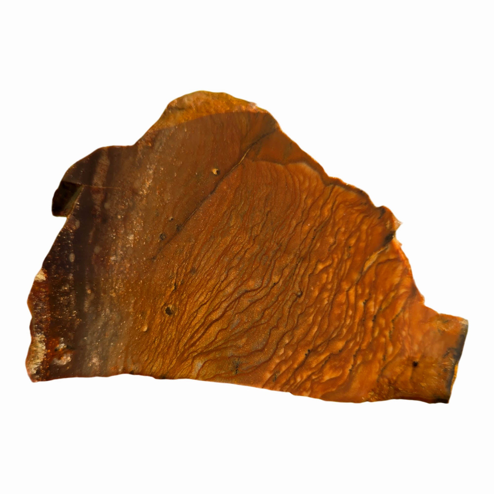 Biggs Picture Jasper Slab Rolling Hills Dust Storm Sky #3712-Photo4