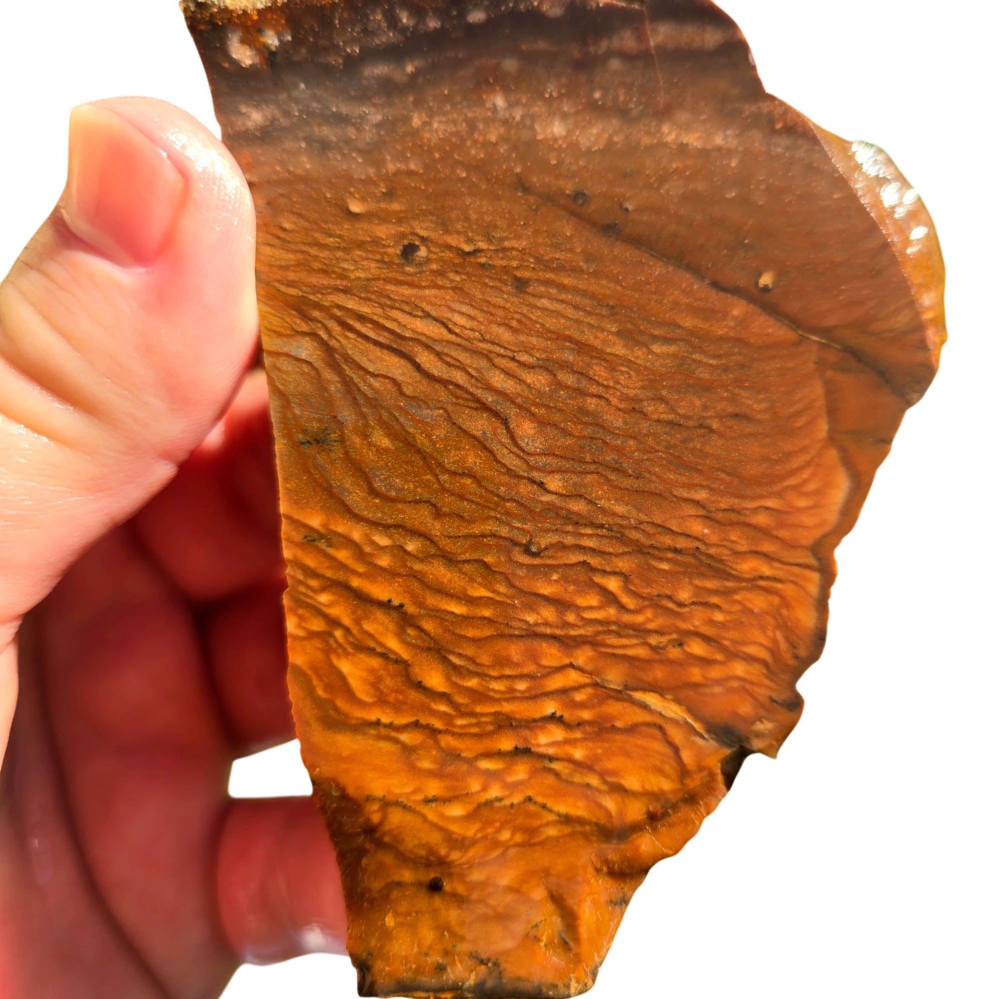 Biggs Picture Jasper Slab Rolling Hills Dust Storm Sky #3712-Photo5