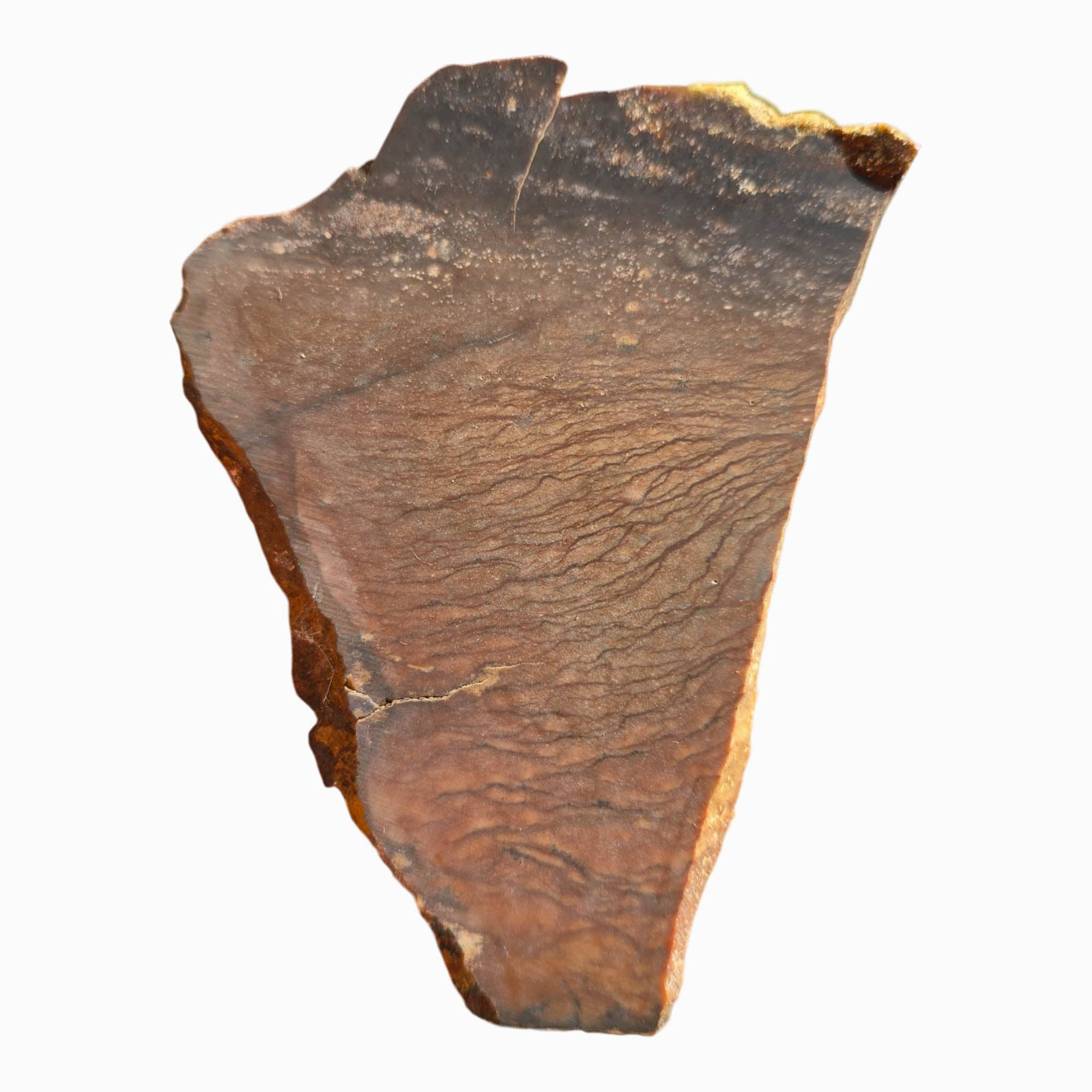 Biggs Picture Jasper Slab Dry Rolling Hills Dust Storm Sky #3712-Photo6