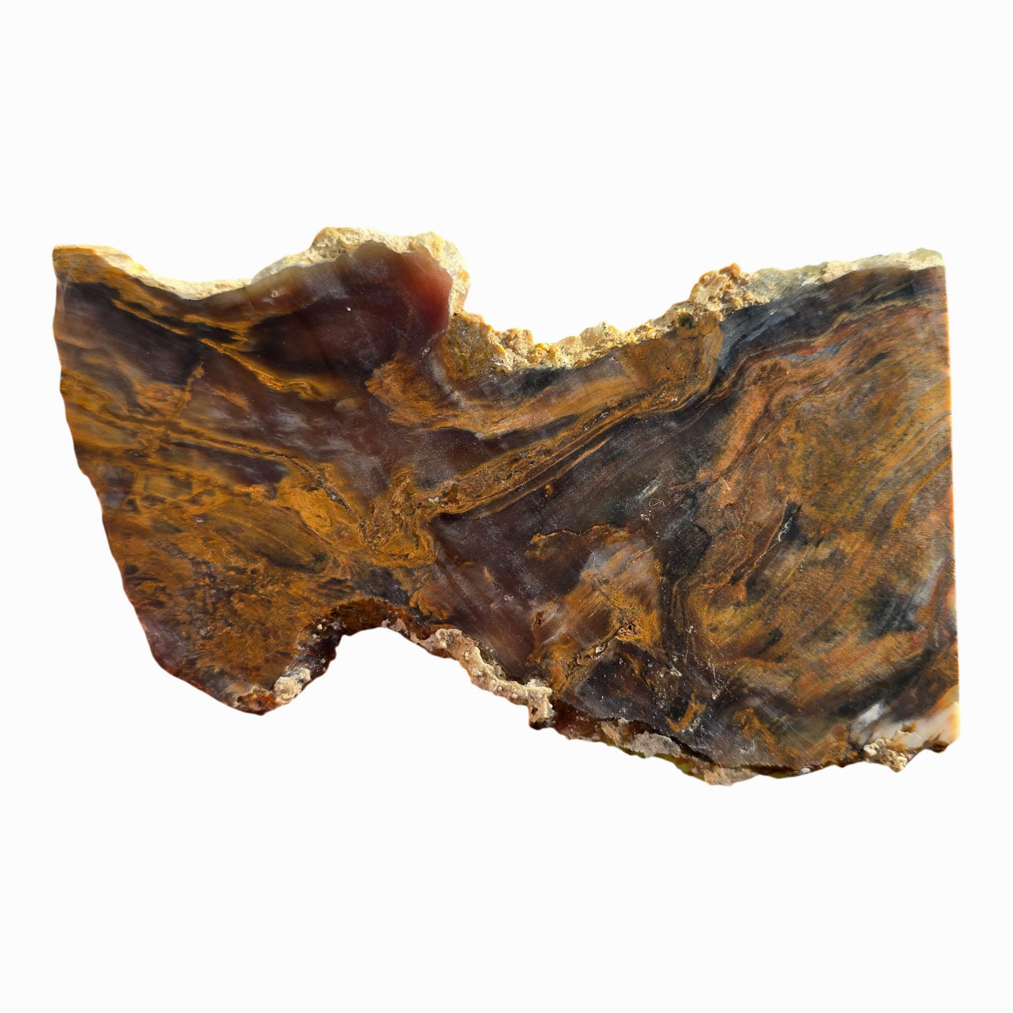 Mystery Petrified Wood Slab Dry – Wood Knot Feature Natural Flaws! #3713-Photo5